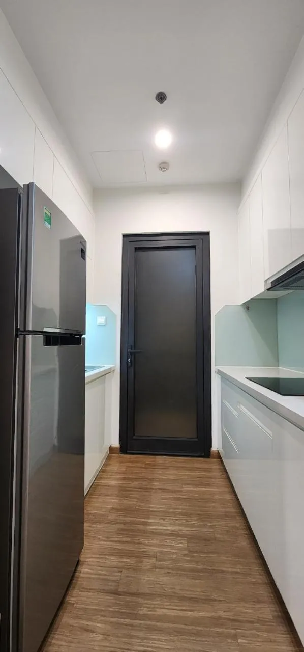 stove in Vinhomes Skylake