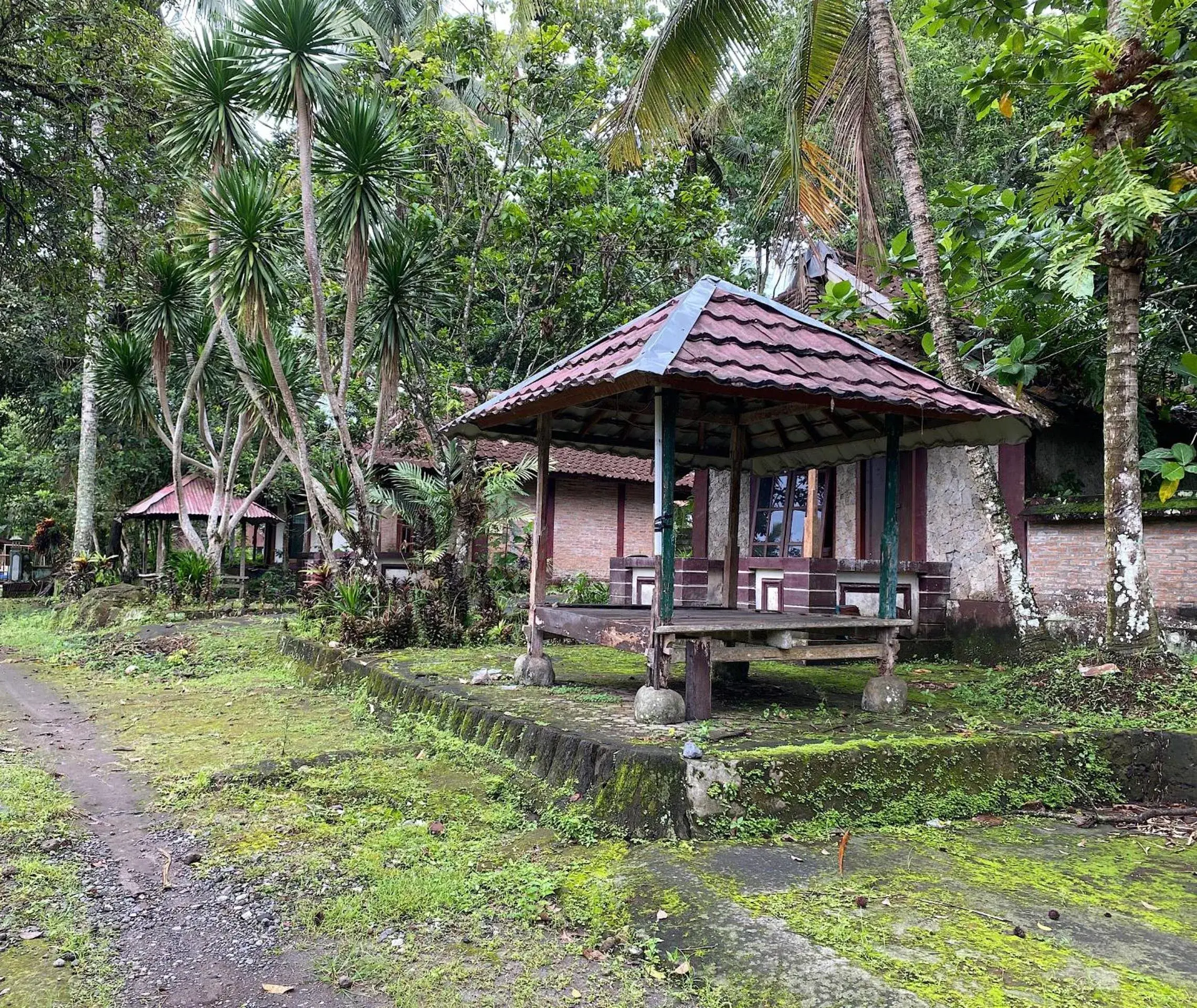 Hotel O Lotus Guest House Hotel O Lotus Guest House