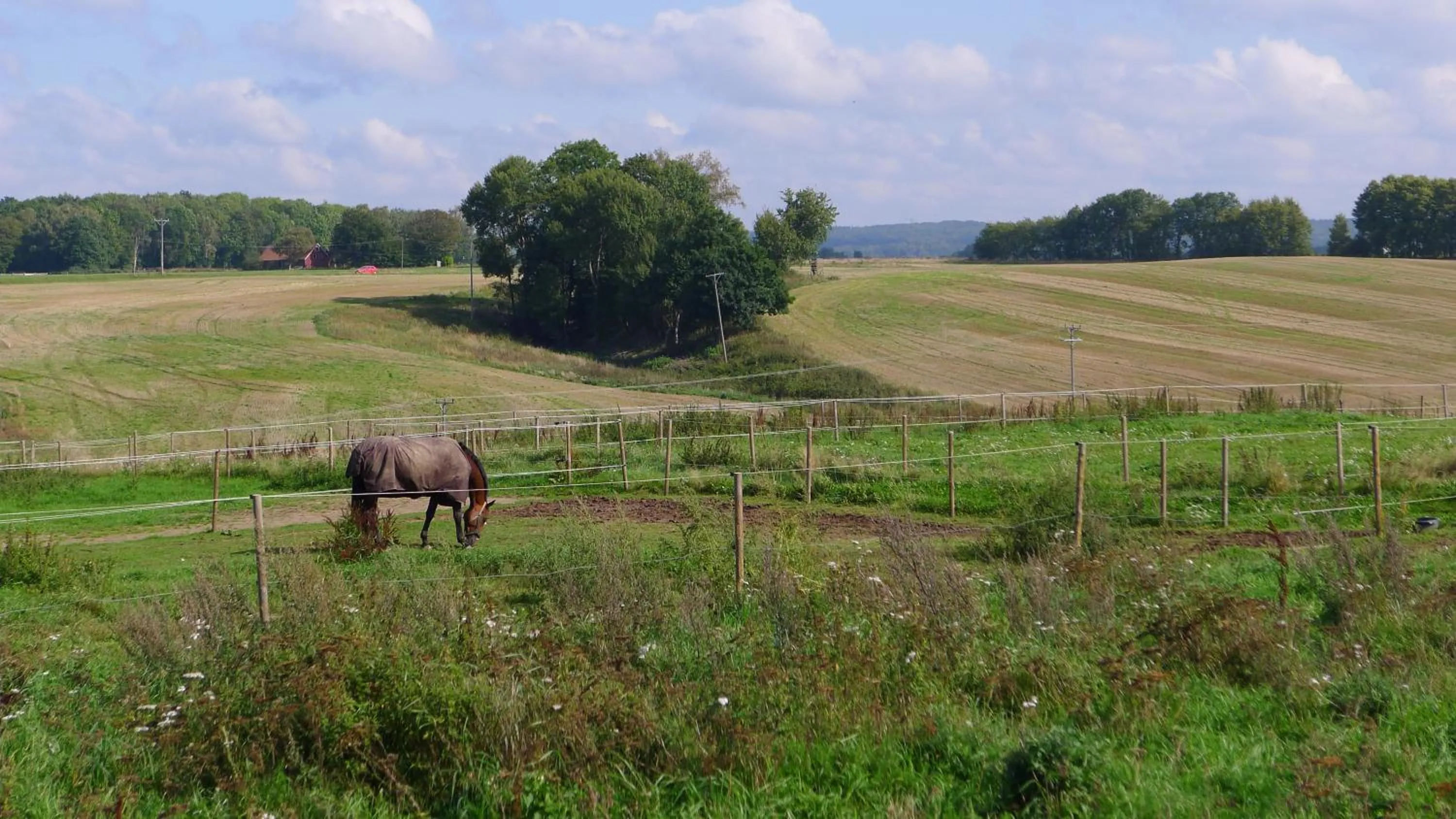 Neighbourhood in Lilla Trulla Gårdshotell - Feels like home