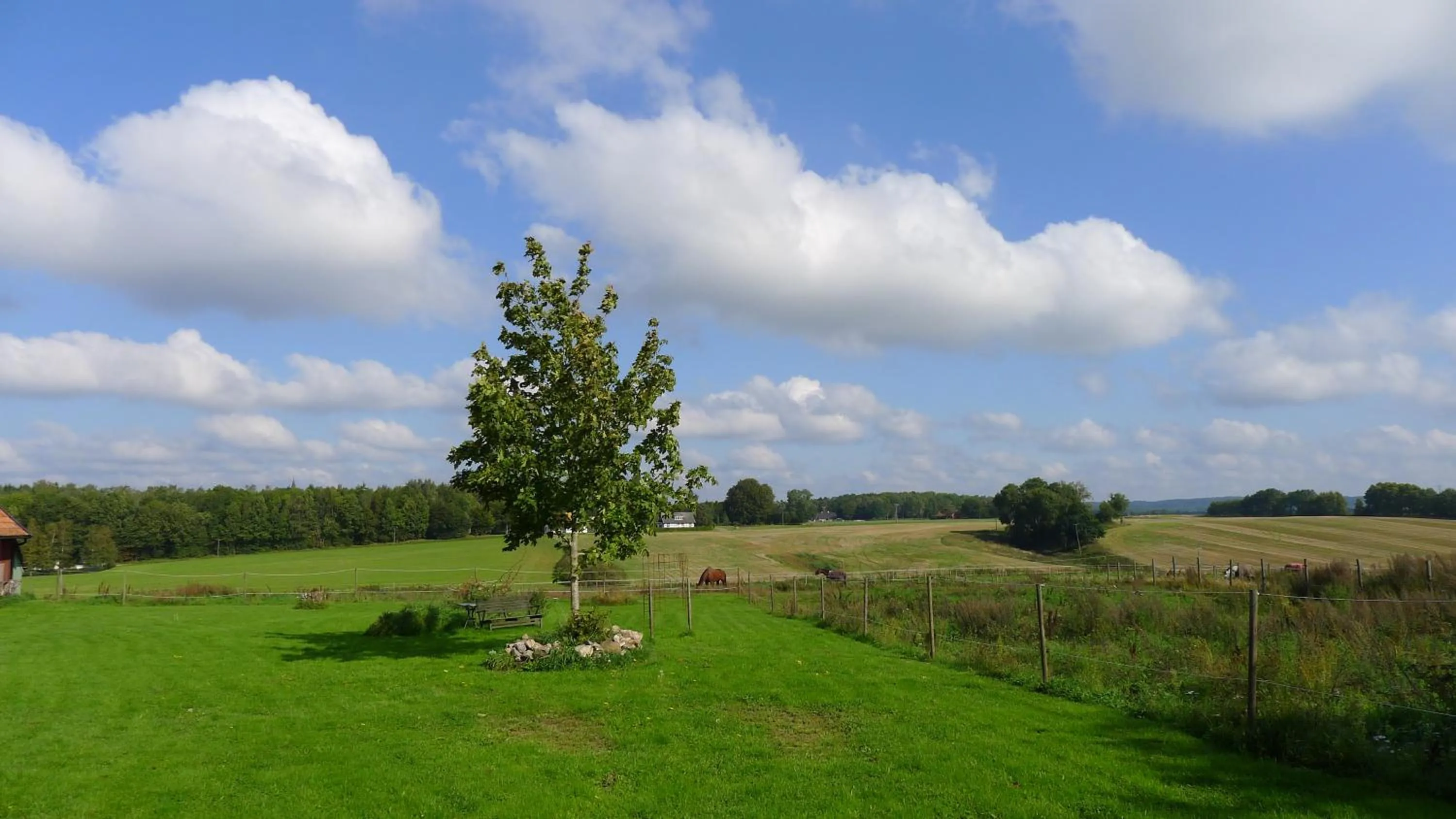 Natural landscape in Lilla Trulla Gårdshotell - Feels like home