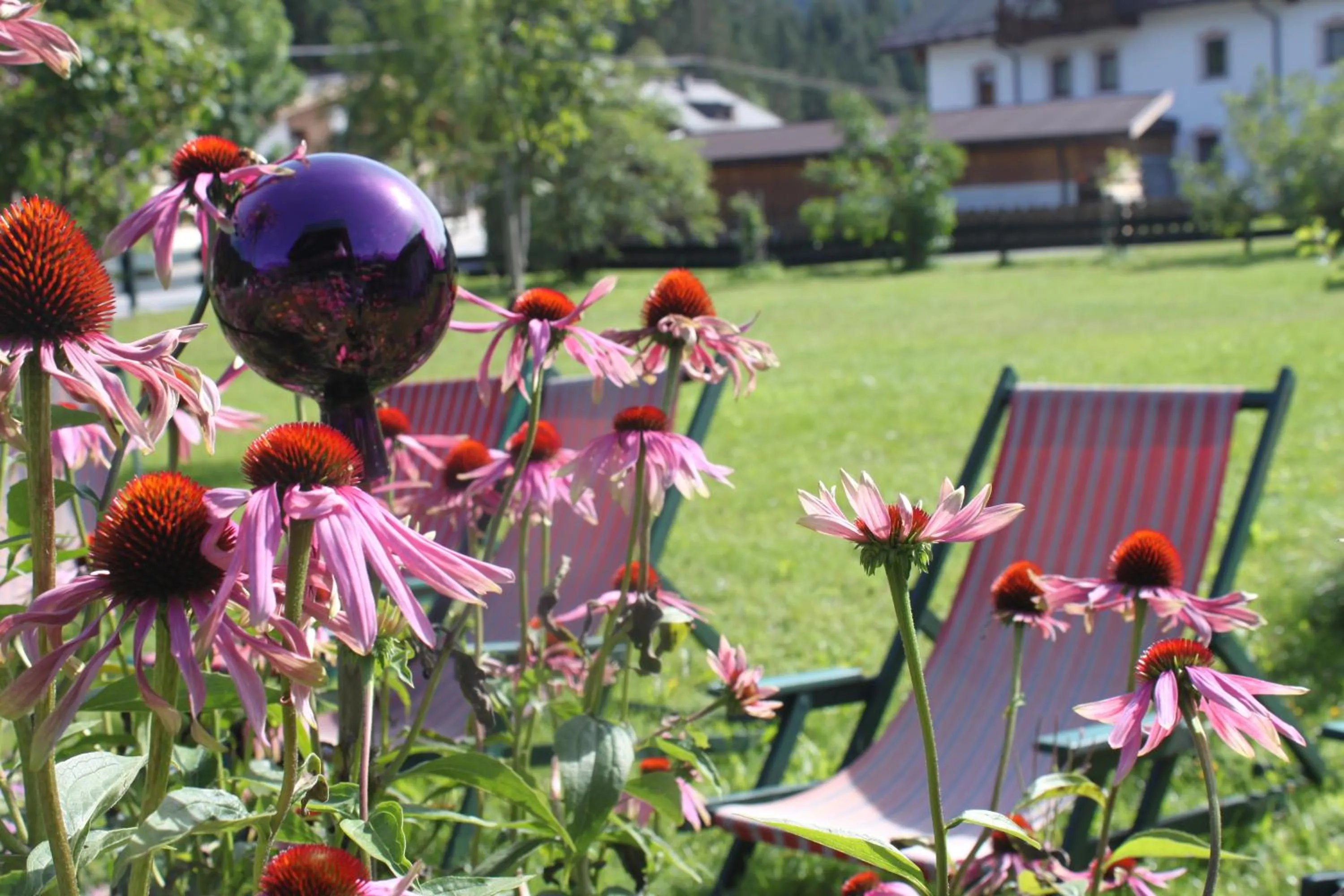 Garden in Bio-Landpension Monika