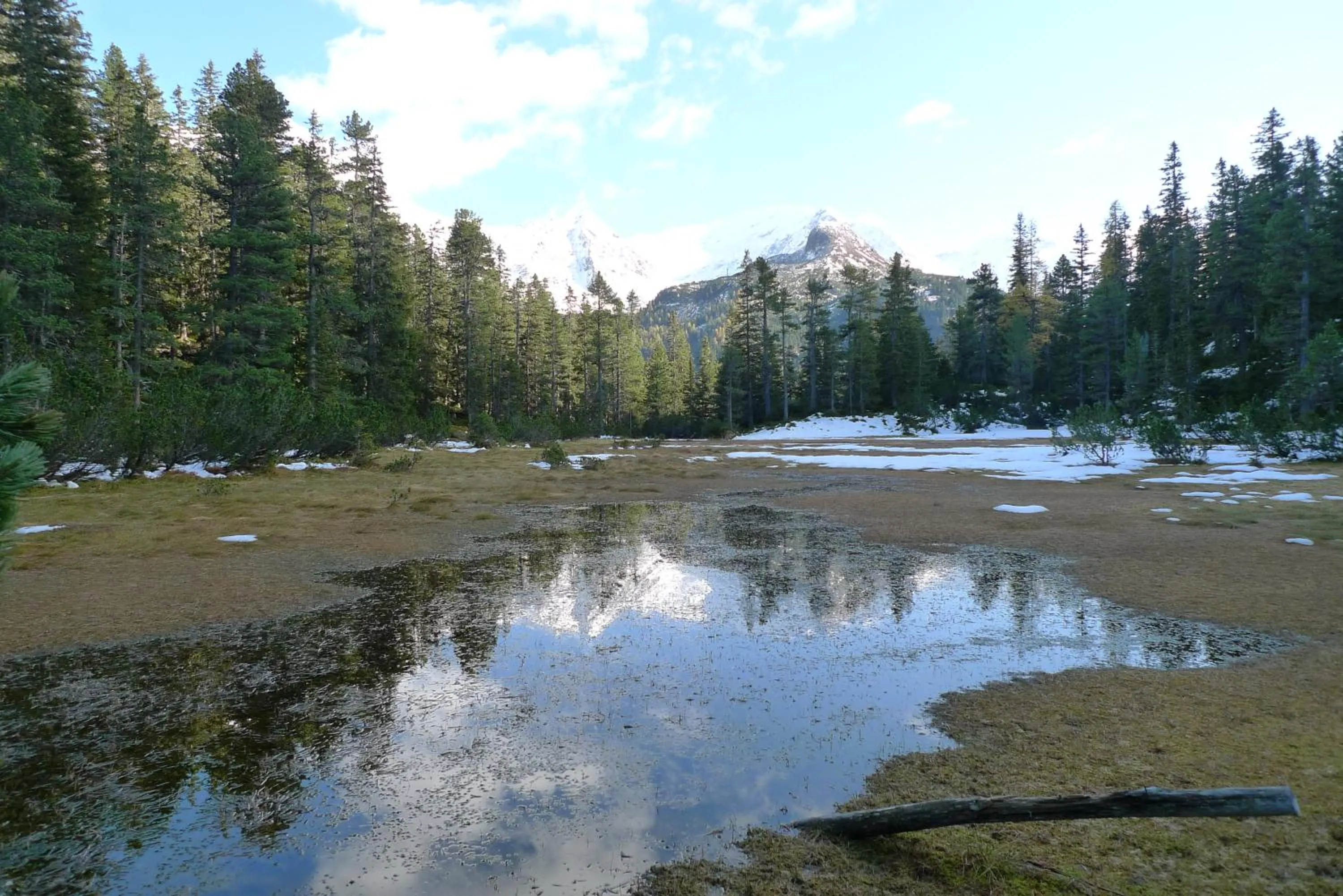 Hiking in Alpengasthof Paletti