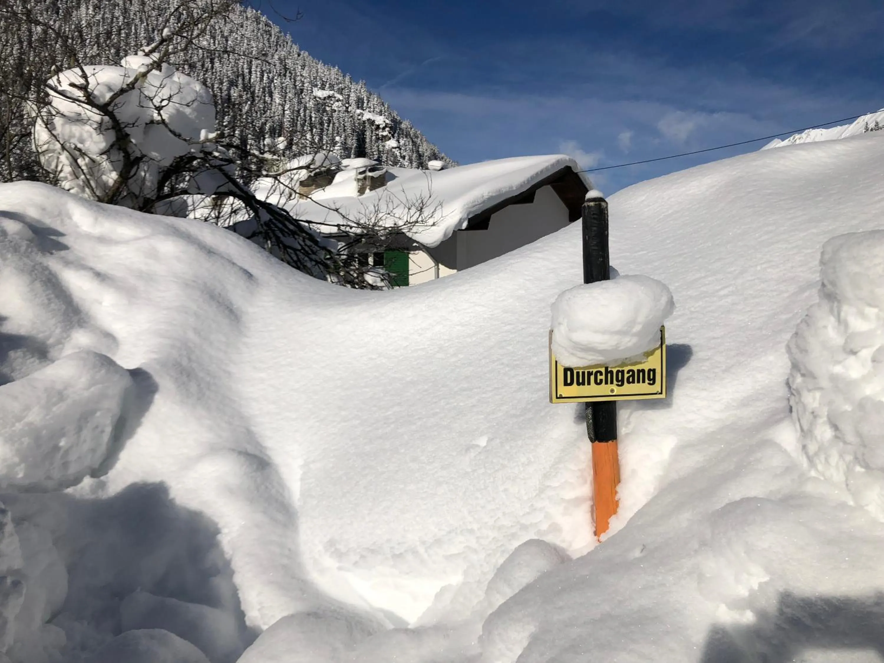 Natural landscape in Alpengasthof Paletti
