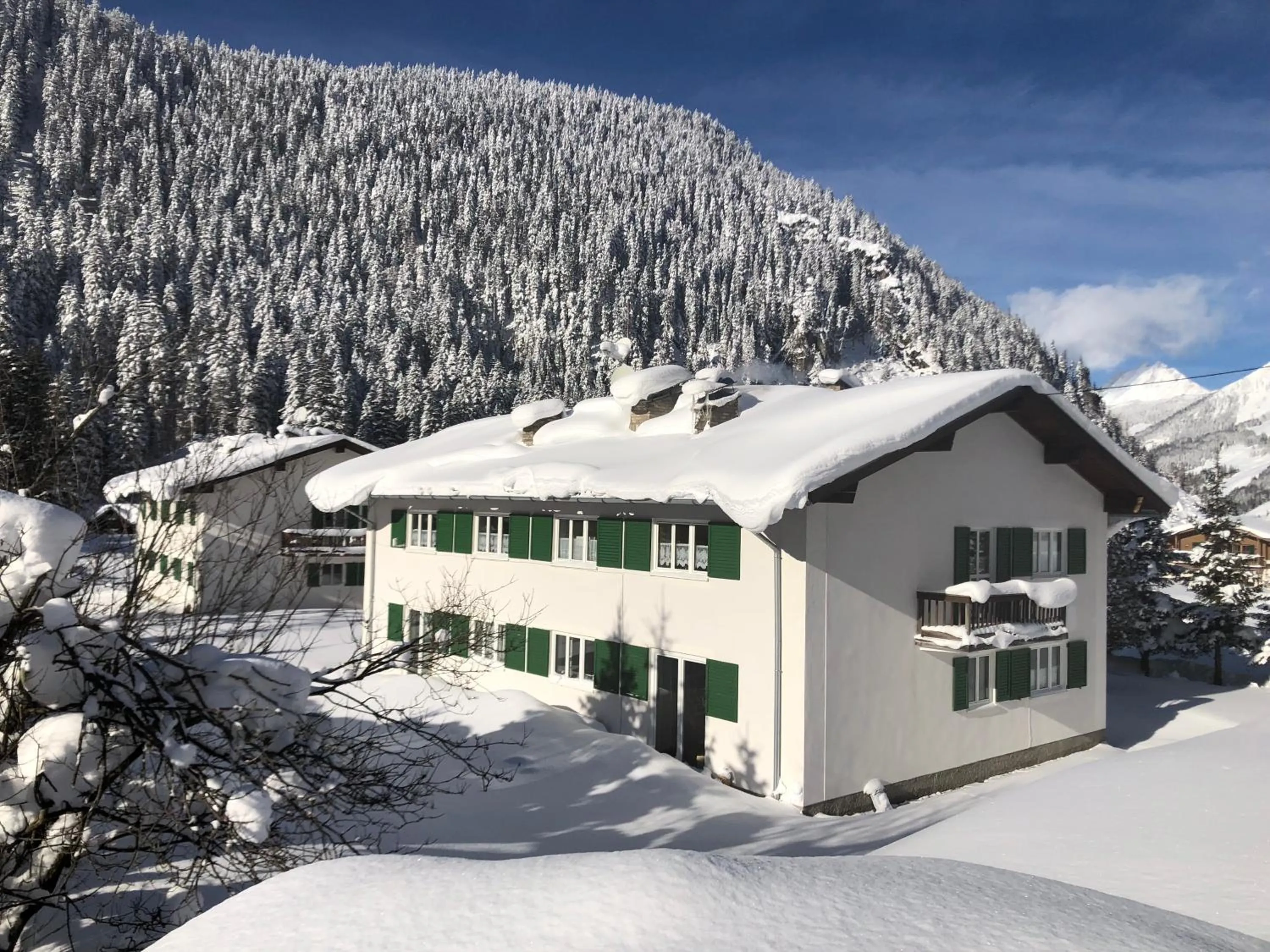 Property building in Alpengasthof Paletti
