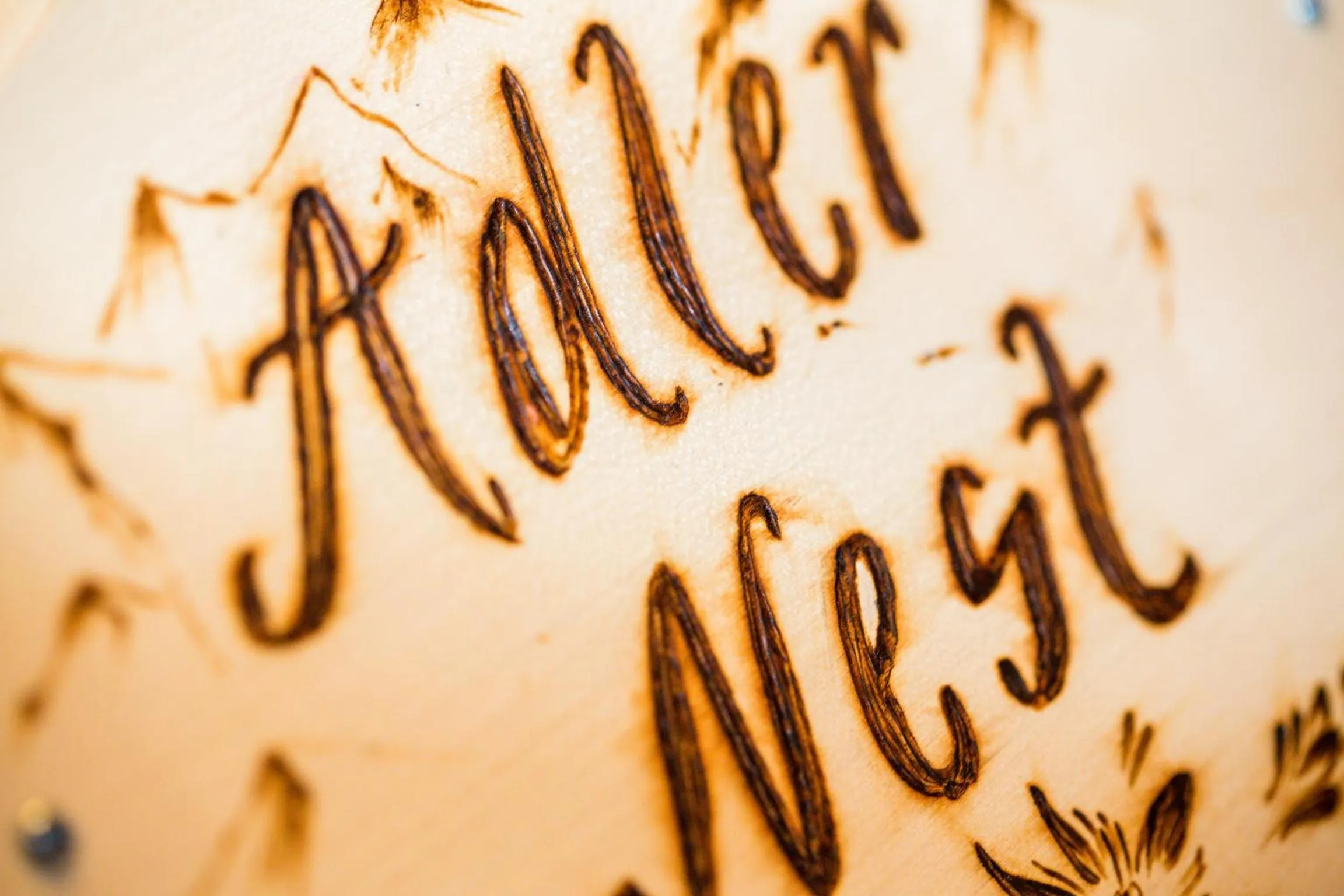 Decorative detail in Alpengasthof Paletti