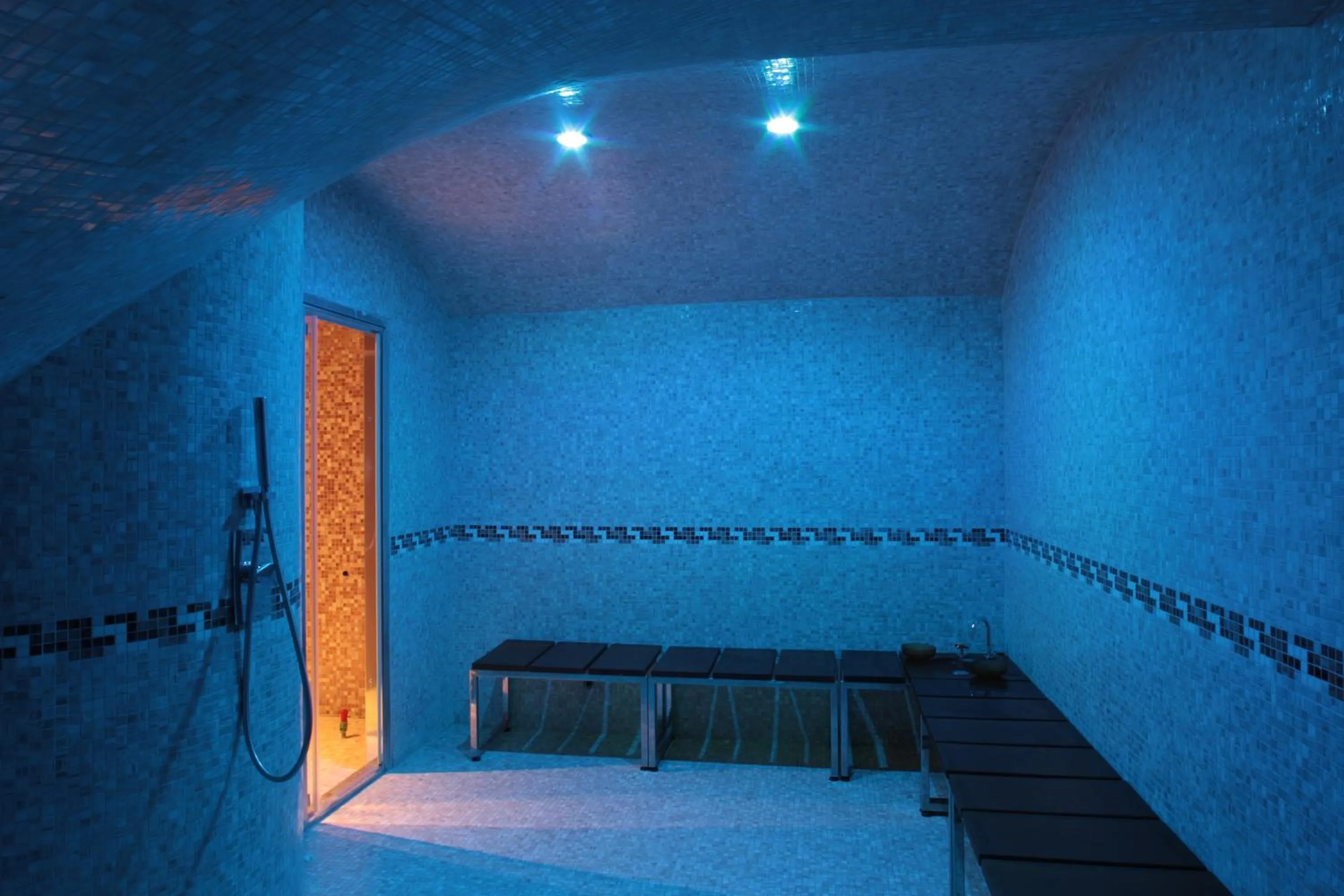 Steam room, Bed in Hotel Relais dei Normanni