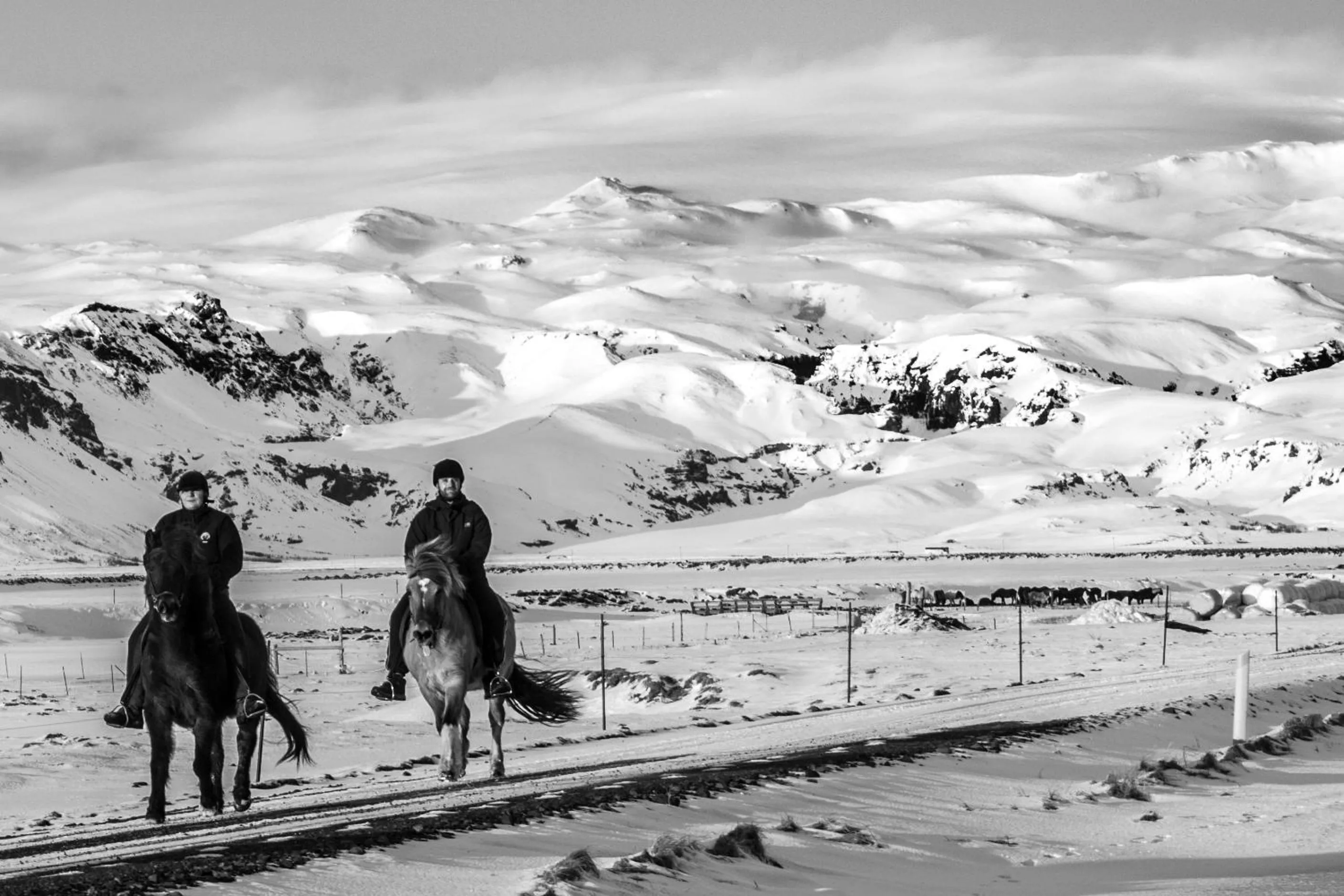 Horse-riding in Mid Hvoll Cottages