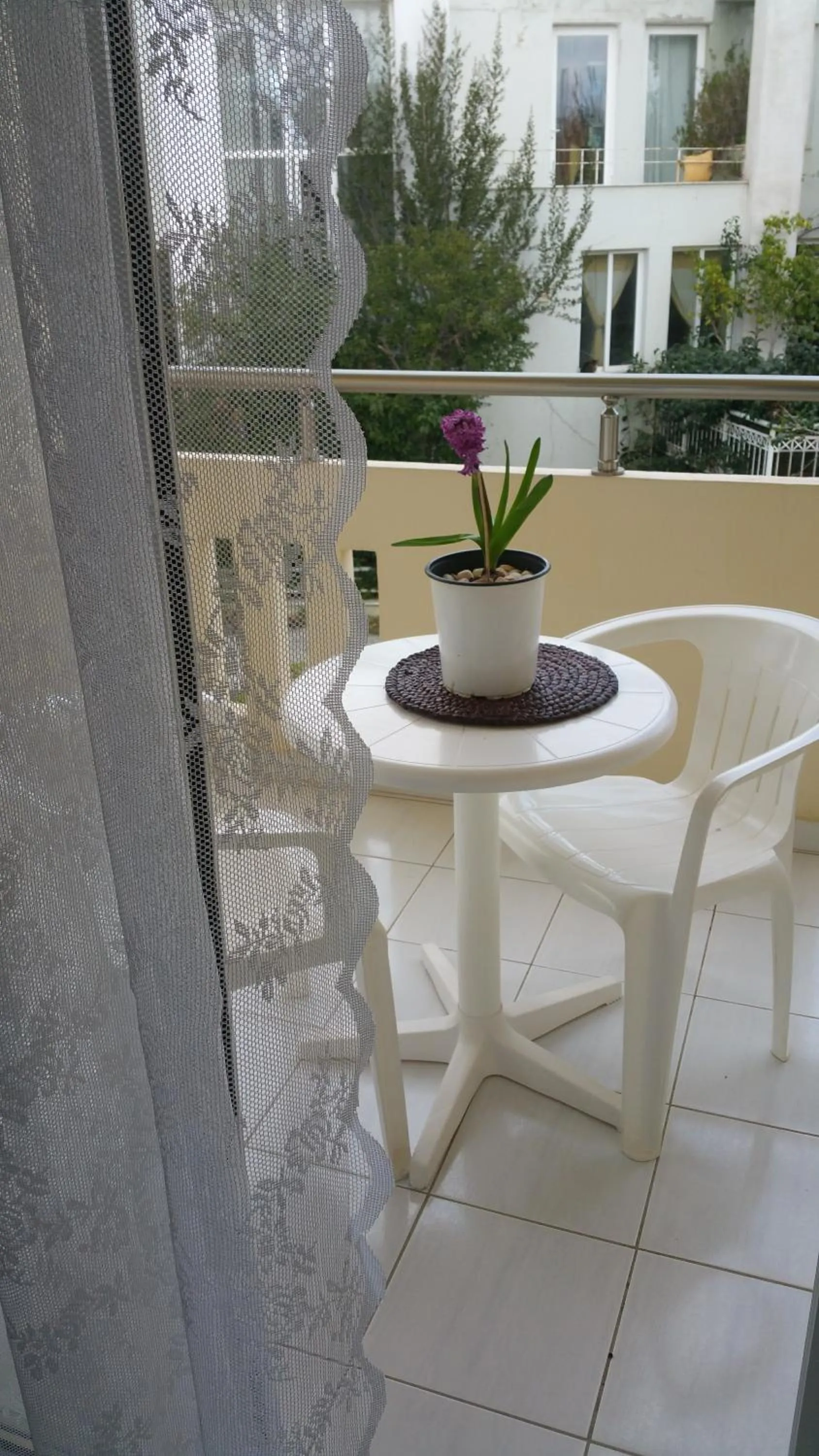 Balcony/Terrace in Zinovia