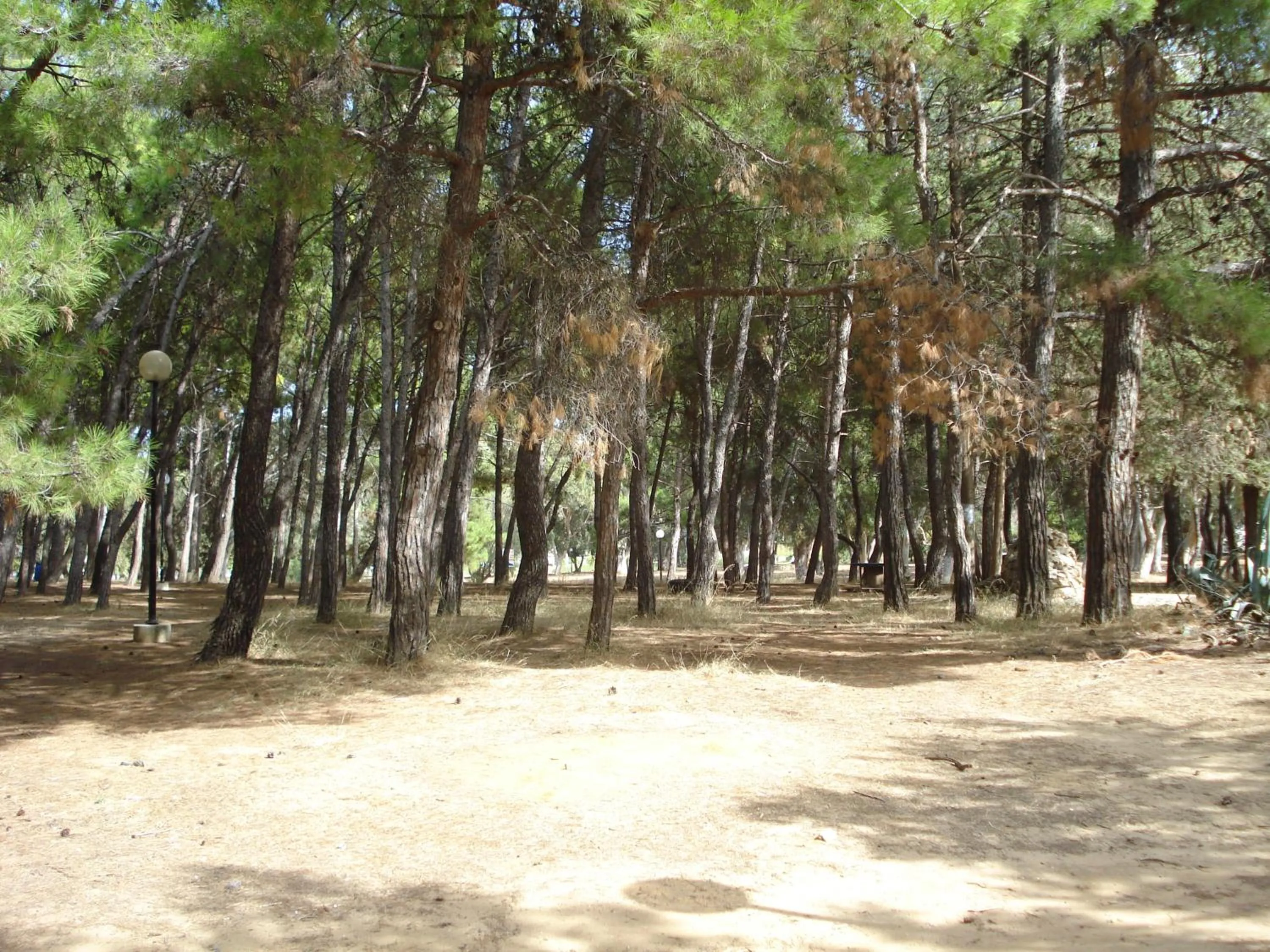 Natural landscape in Zinovia