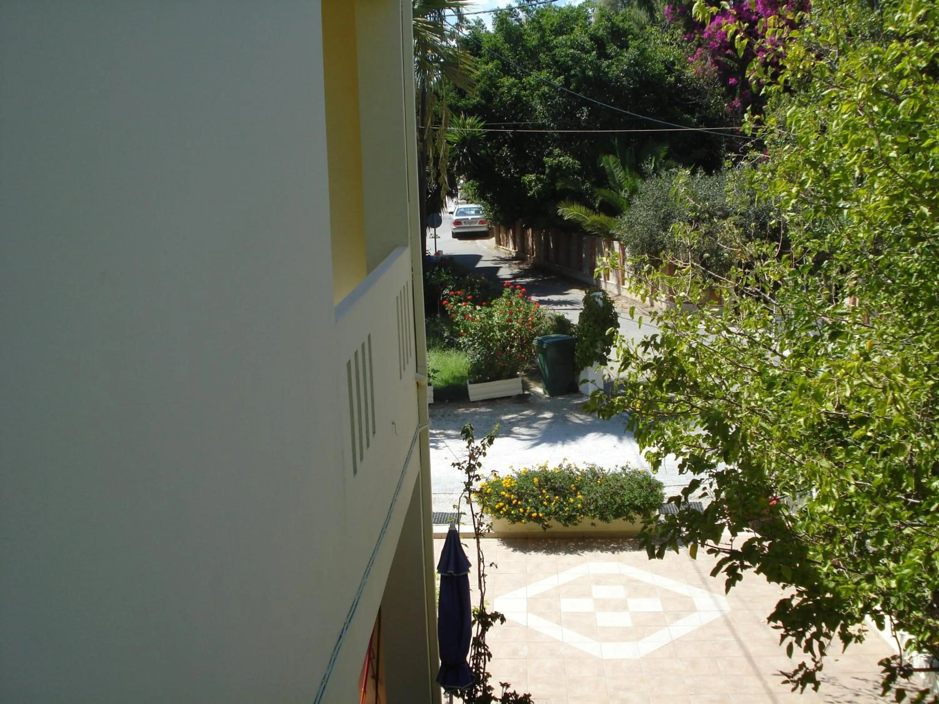 Bird's eye view in Zinovia