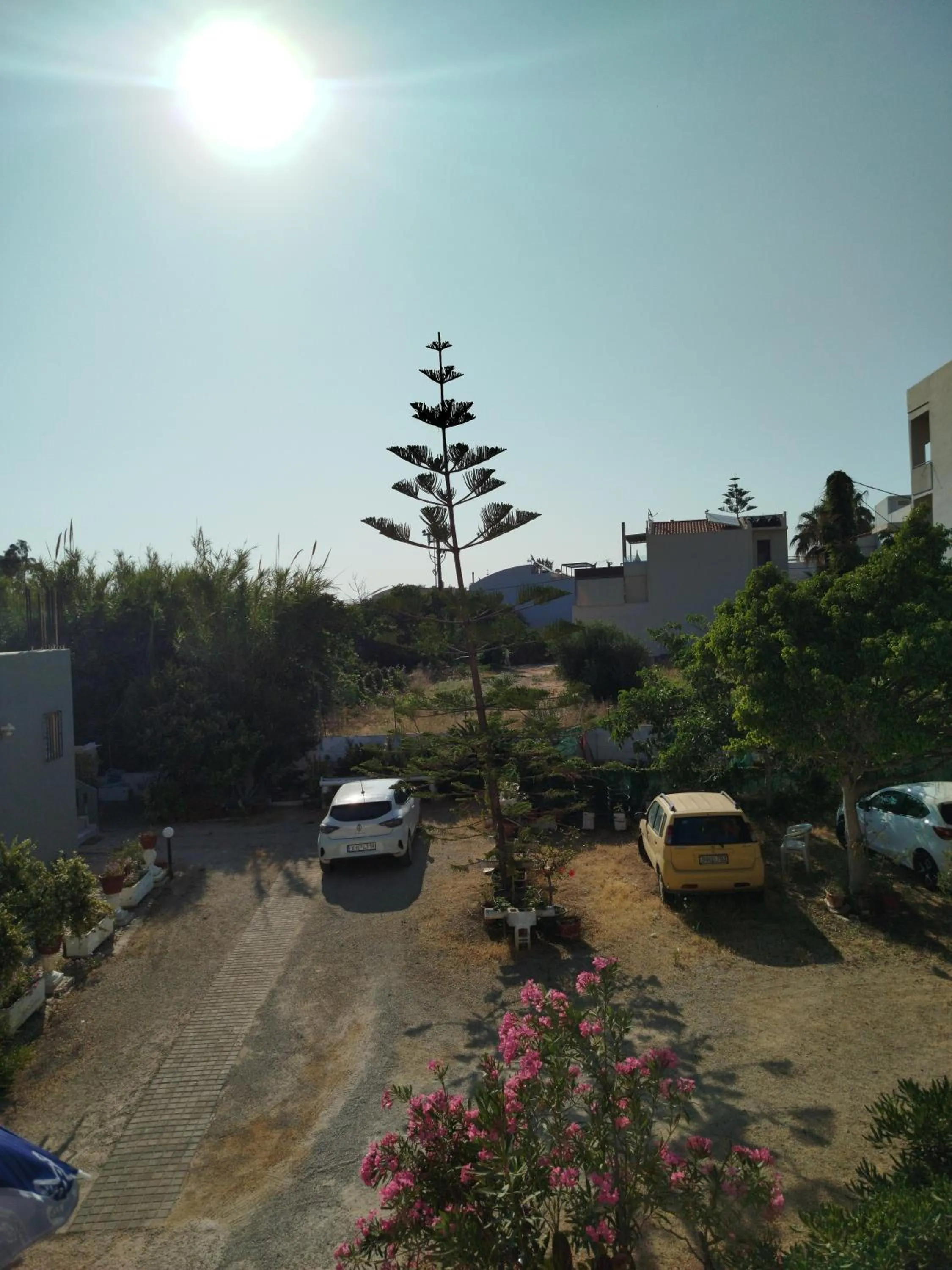 Balcony/Terrace in Zinovia