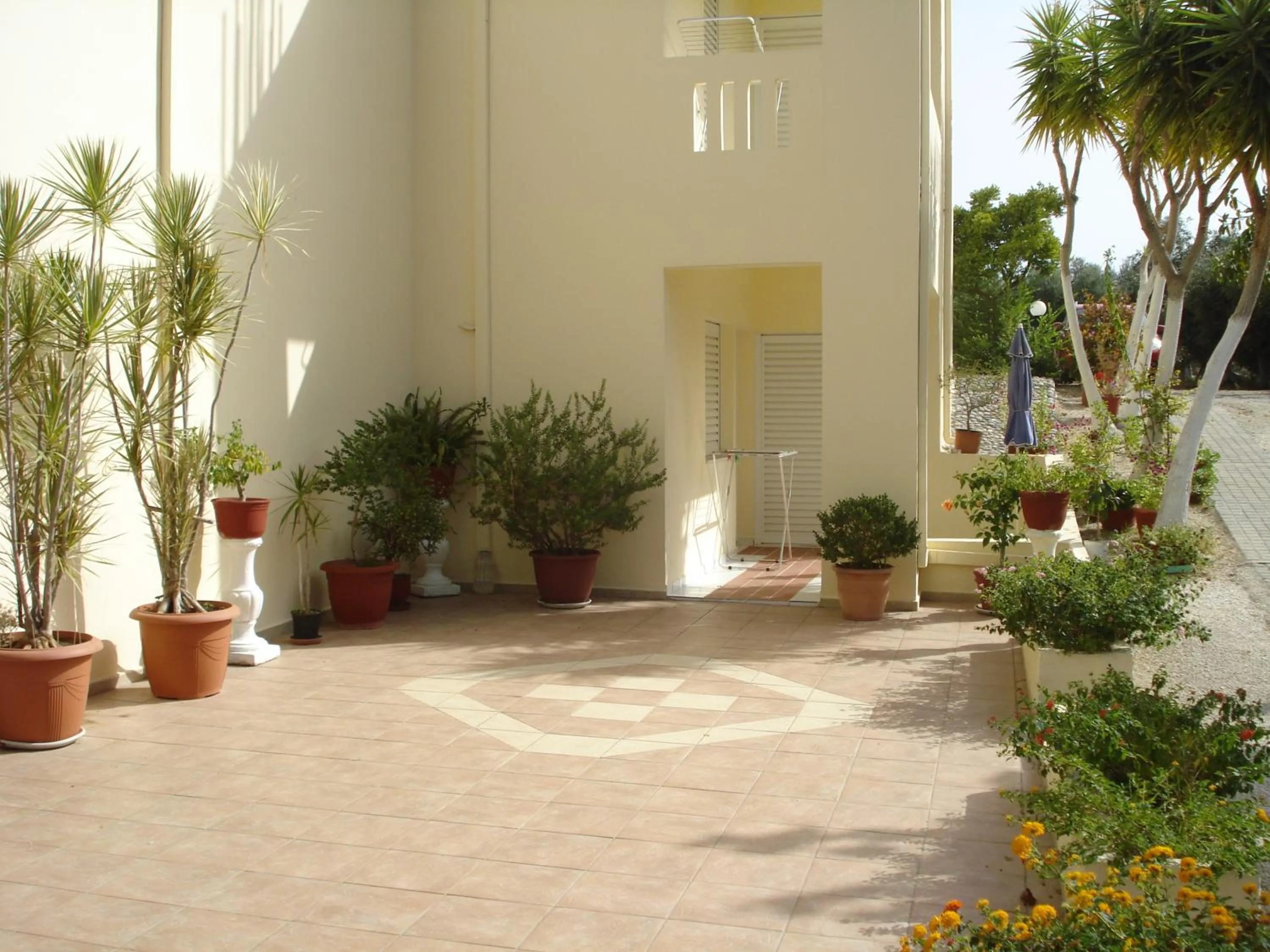 Decorative detail in Zinovia