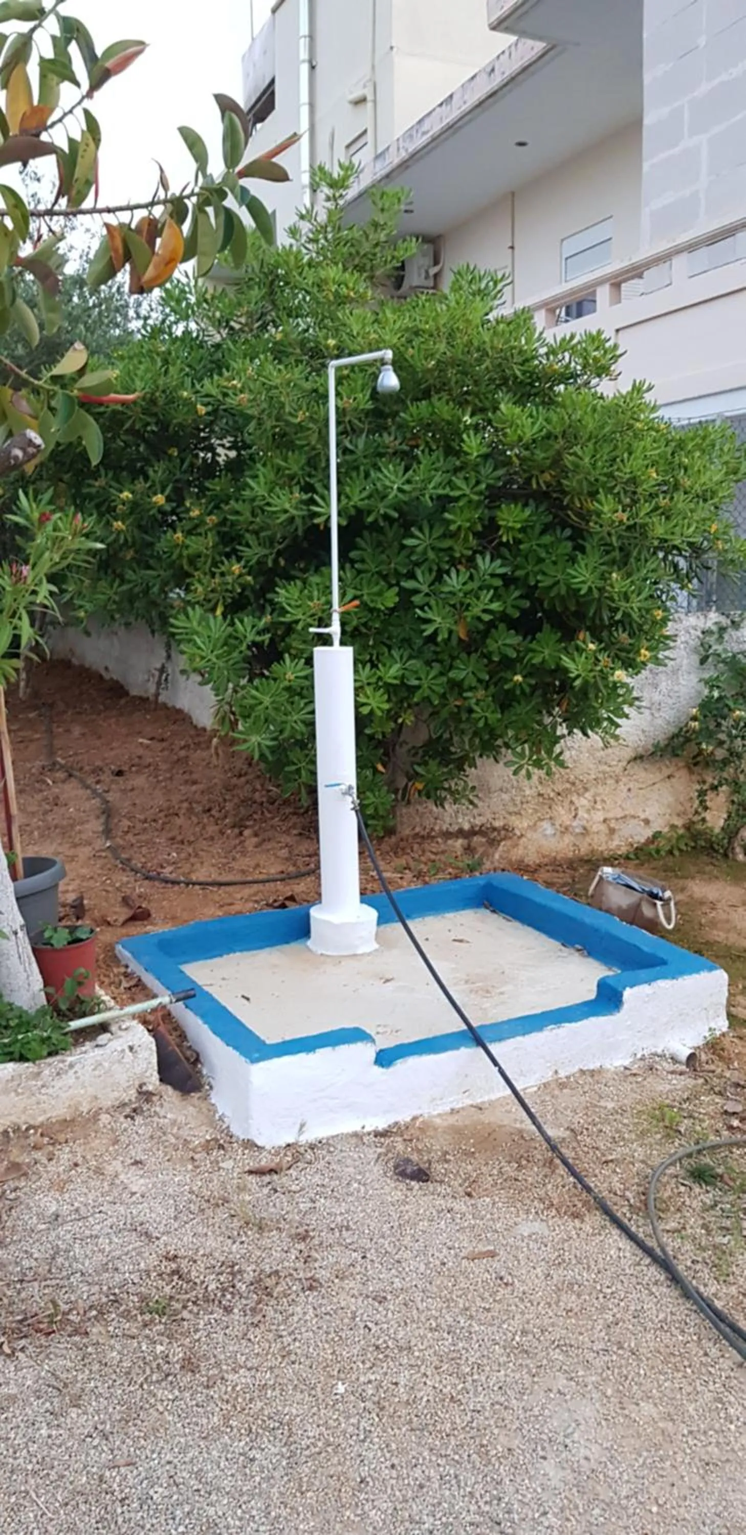 Activities in Zinovia