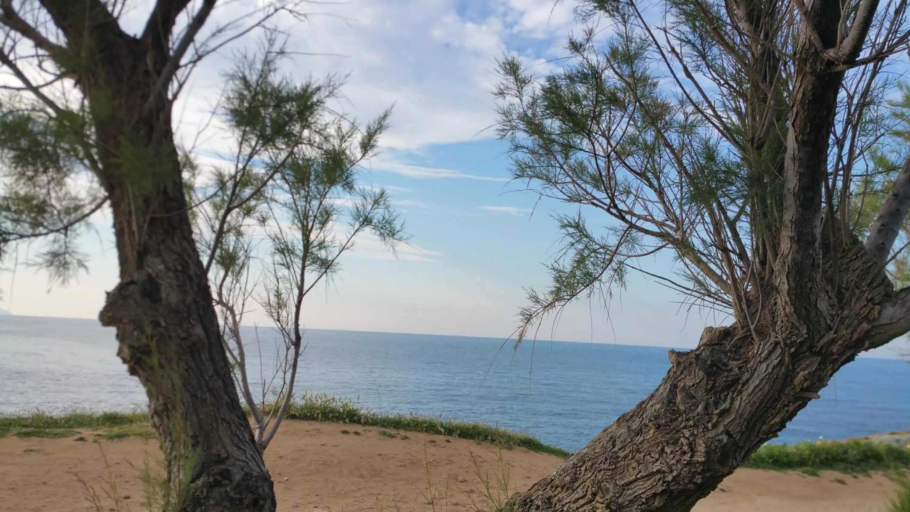 Natural landscape in Zinovia