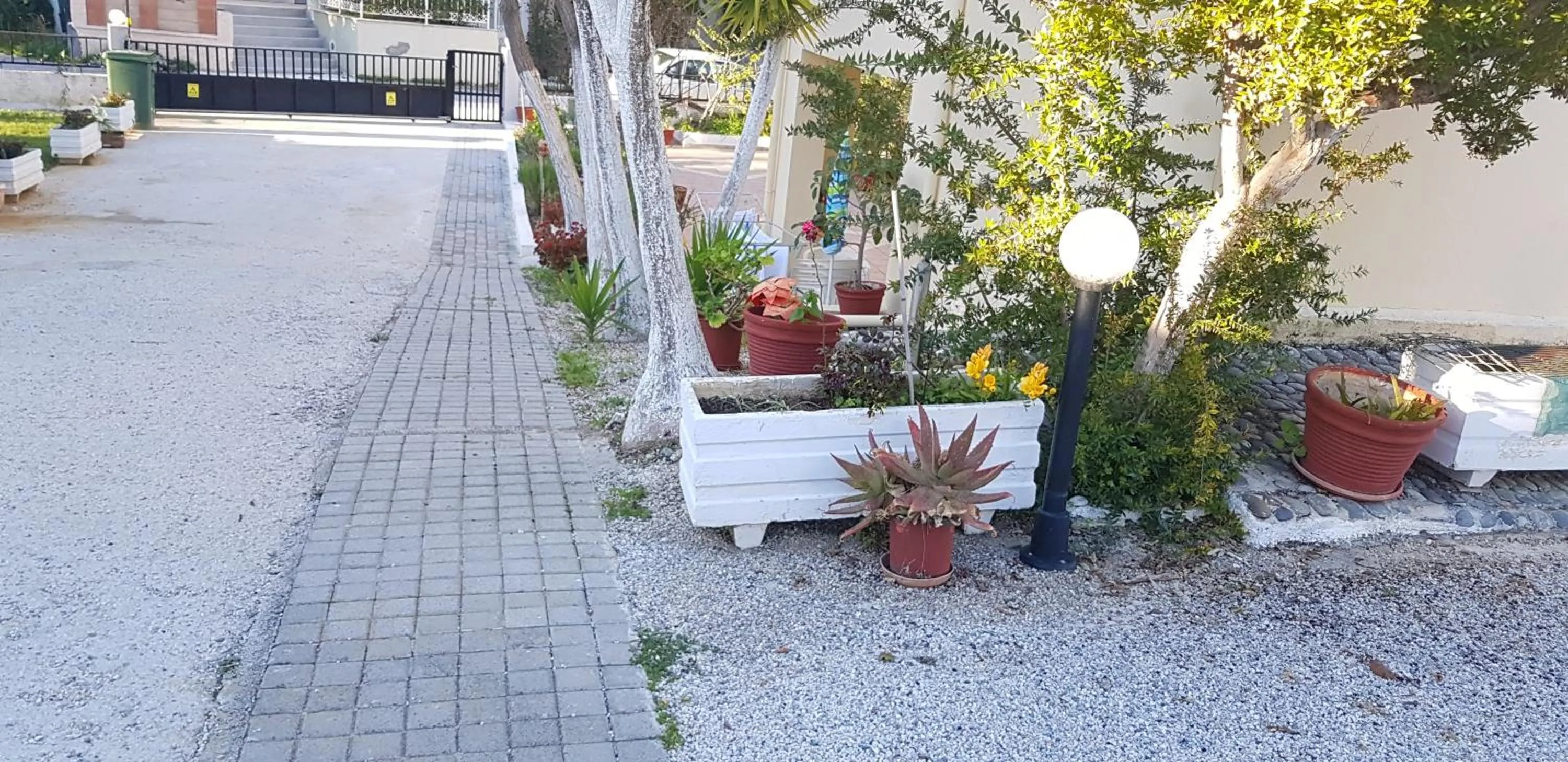 Facade/entrance in Zinovia