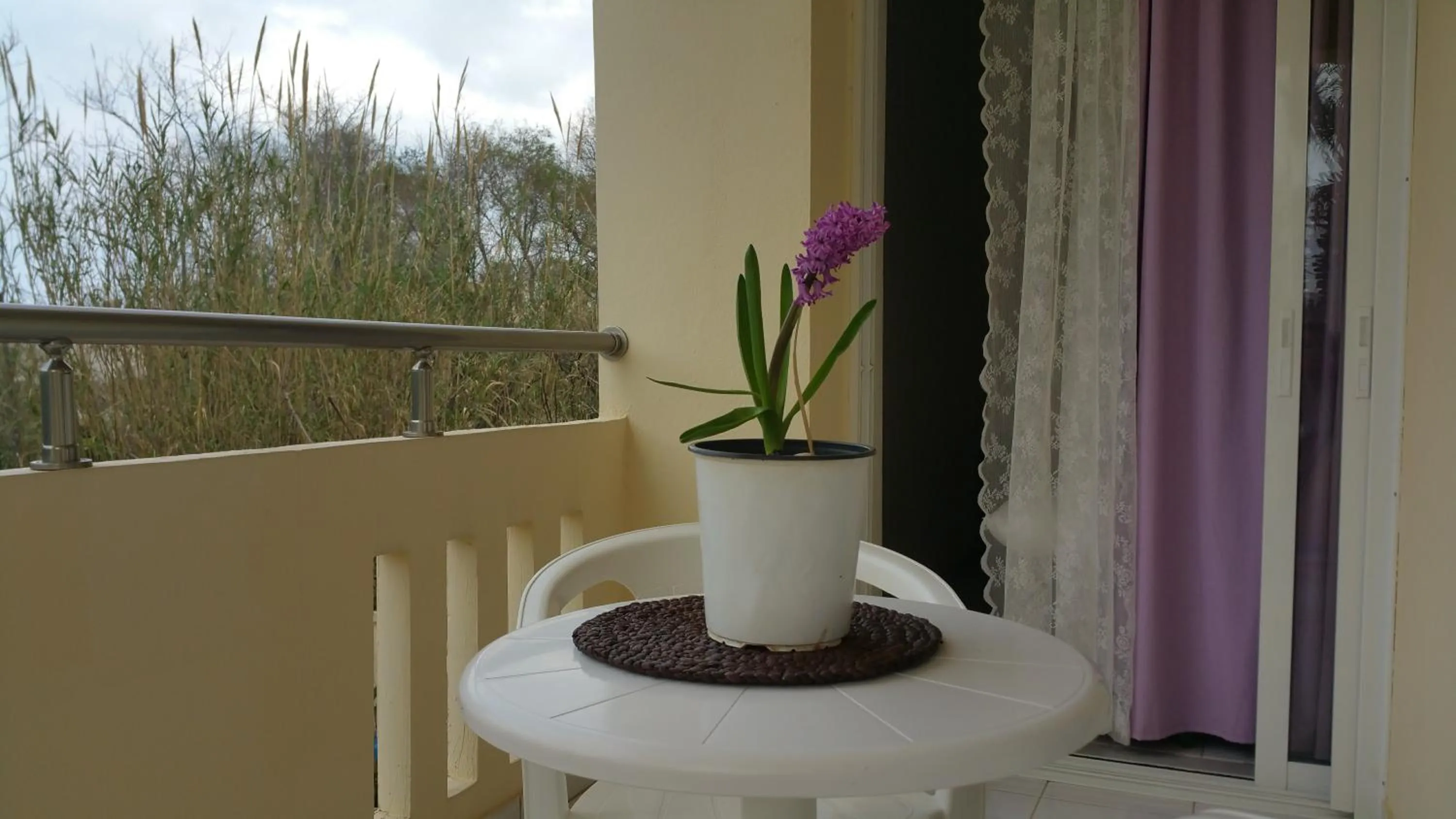 Balcony/Terrace in Zinovia