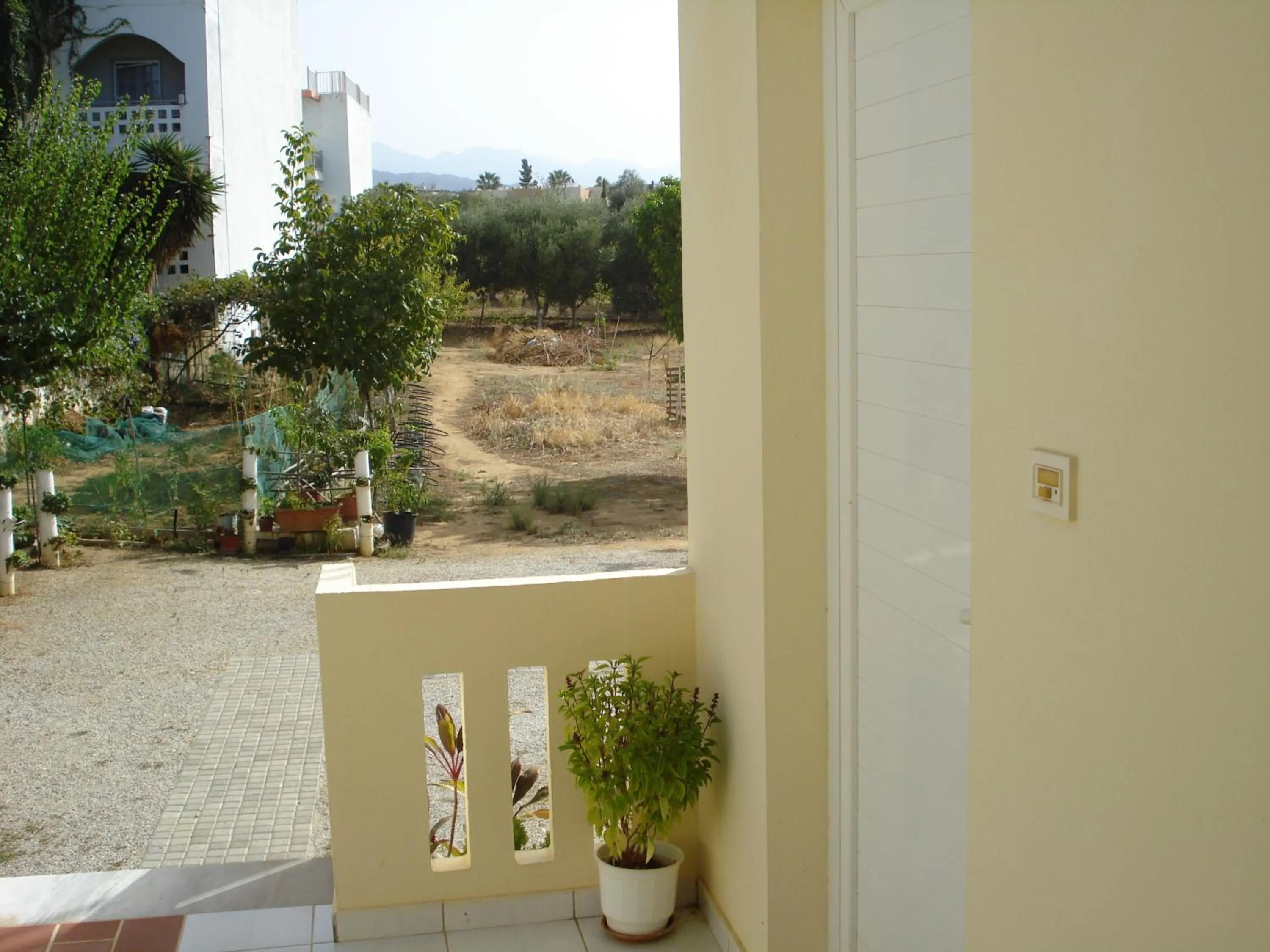 Decorative detail in Zinovia