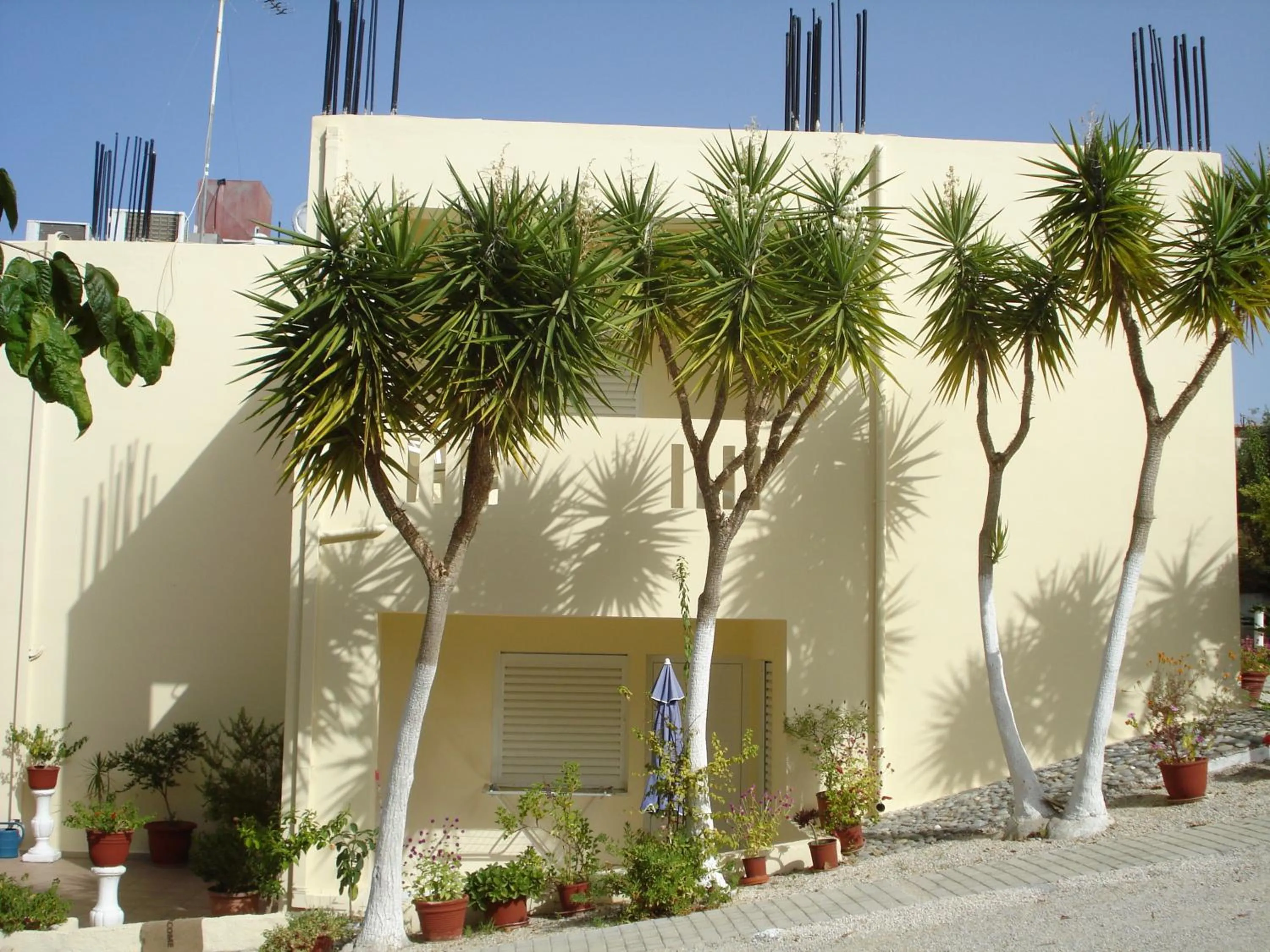 Facade/entrance in Zinovia