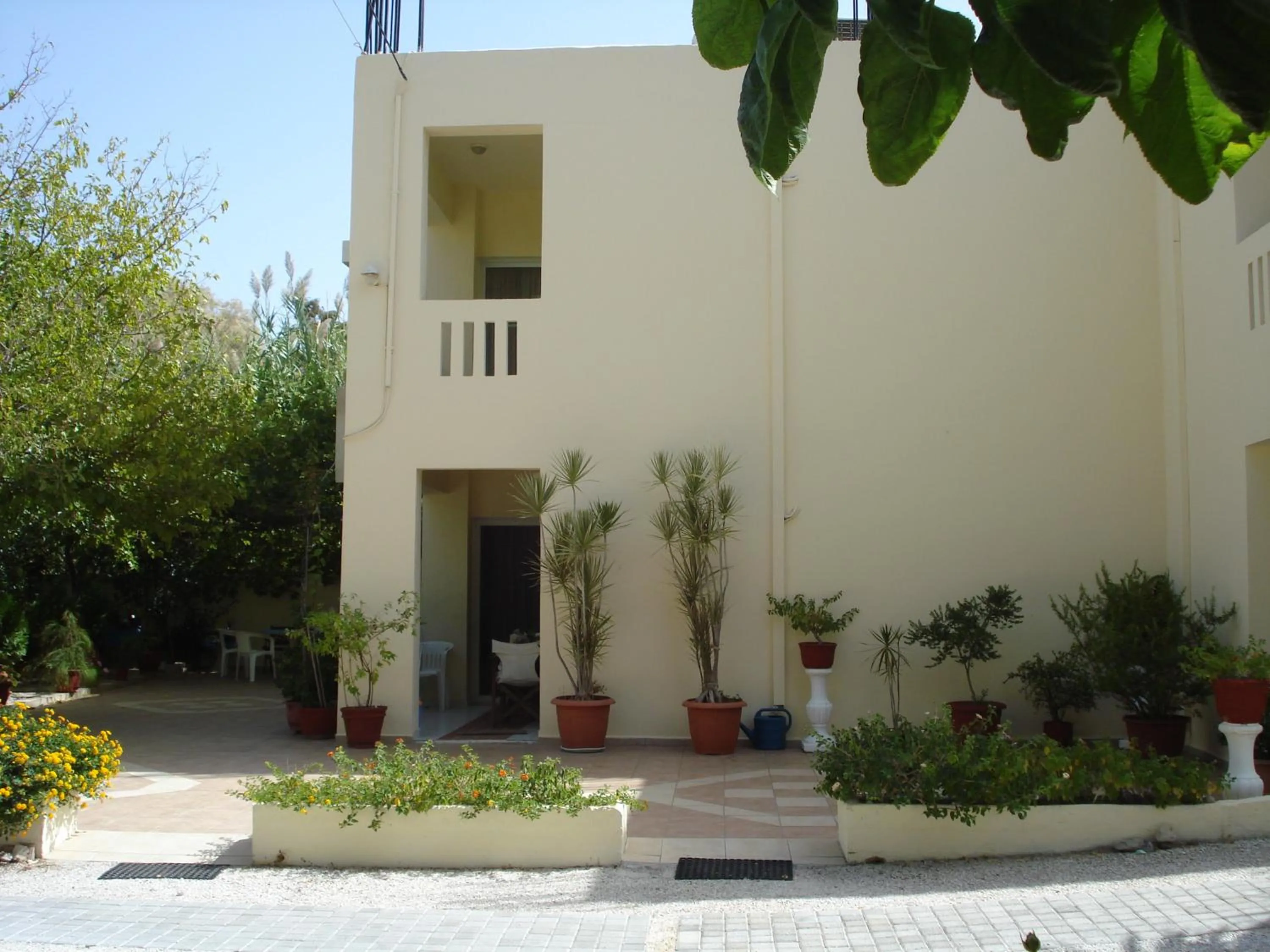 Facade/entrance in Zinovia