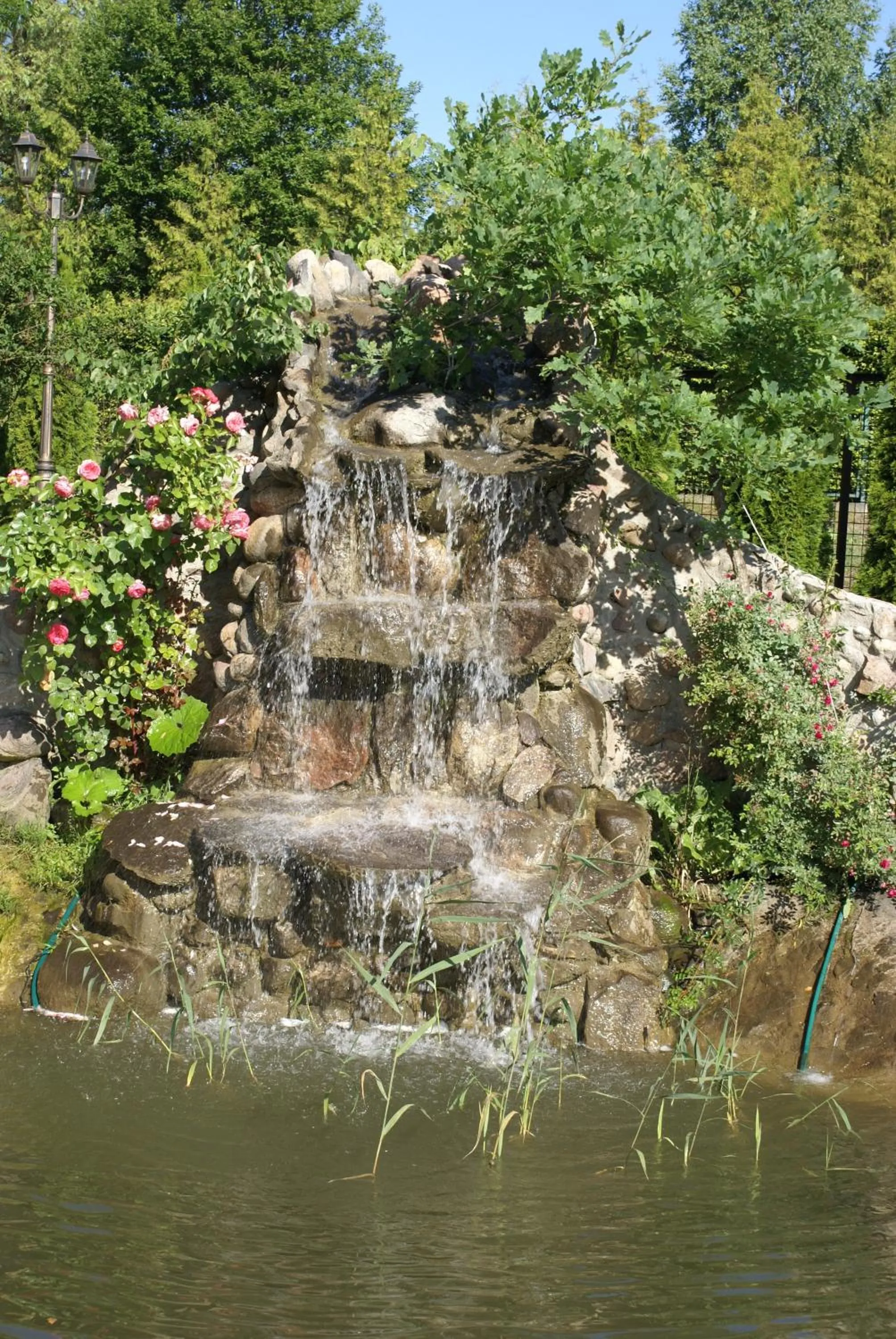 Entertainment in Dwór Bartnika