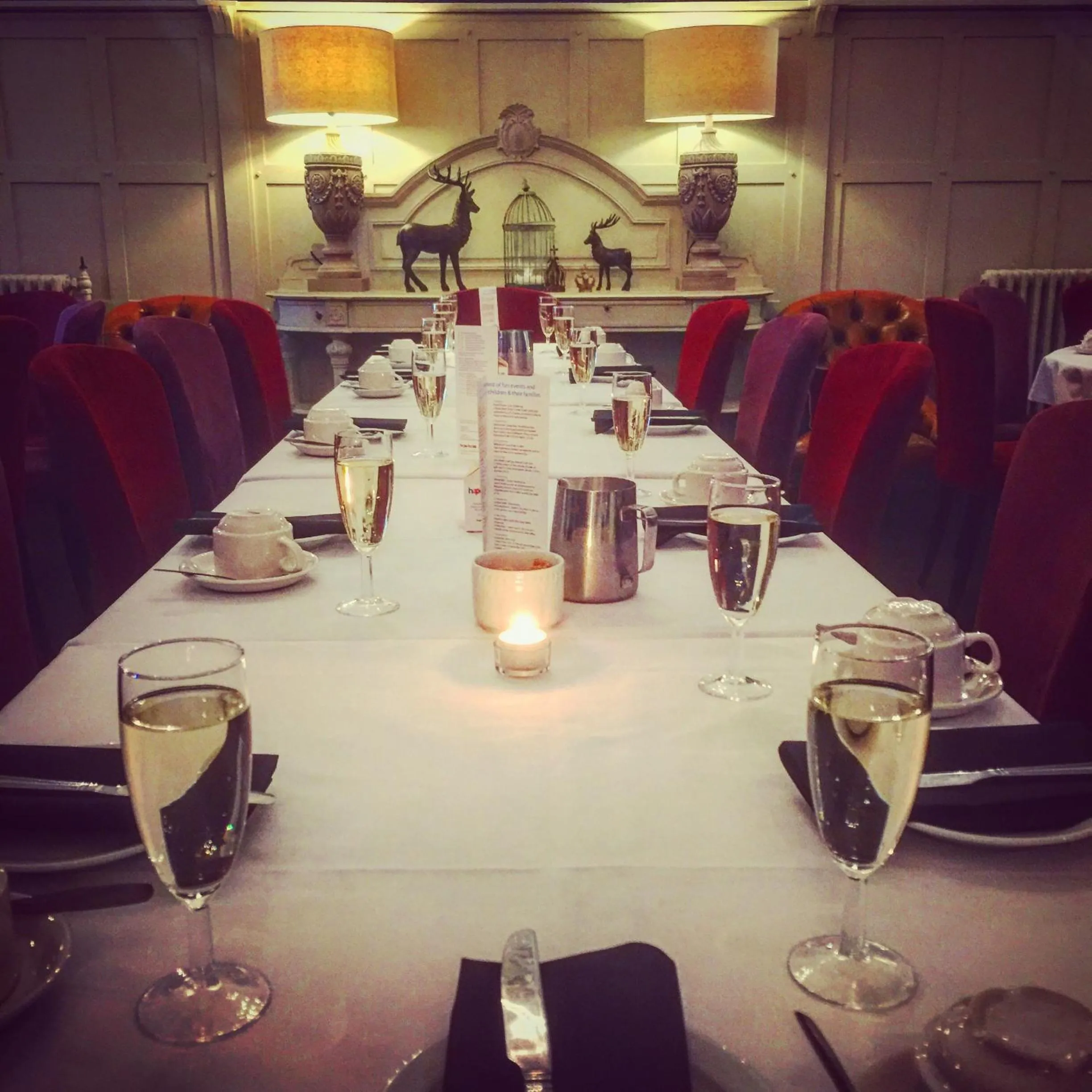 Food close-up in Plas Maenan