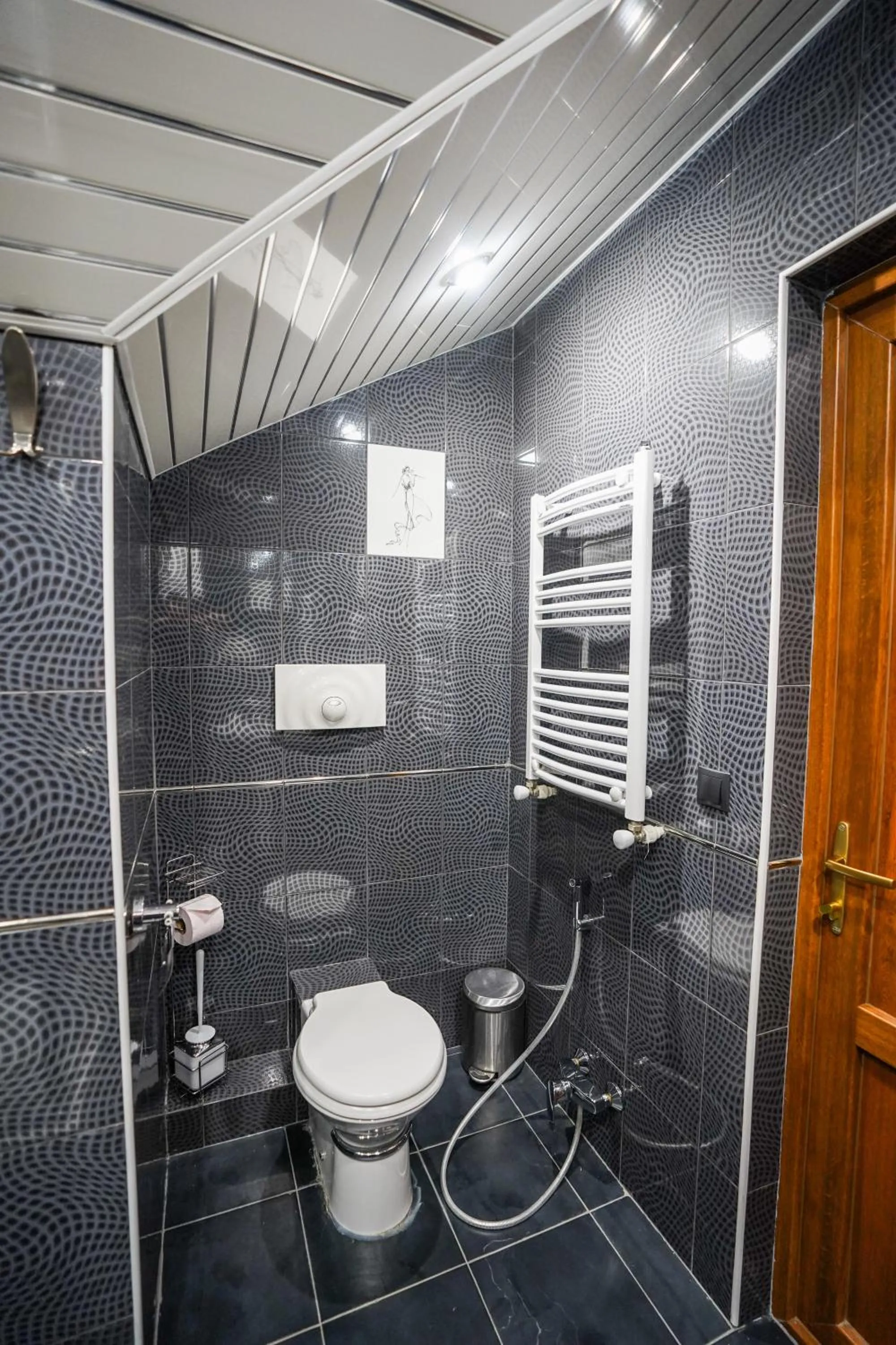 Shower in Natali Hotel