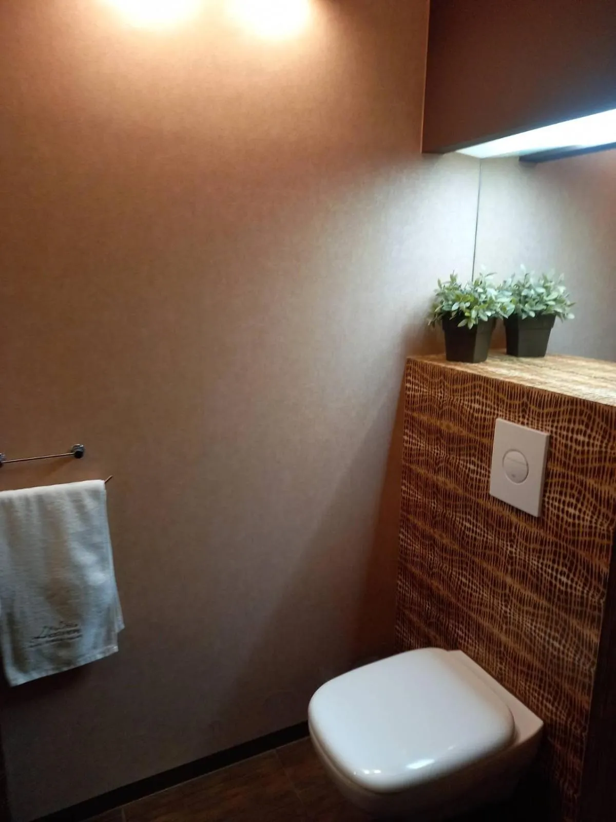 Toilet in Apartment with an Amazing View