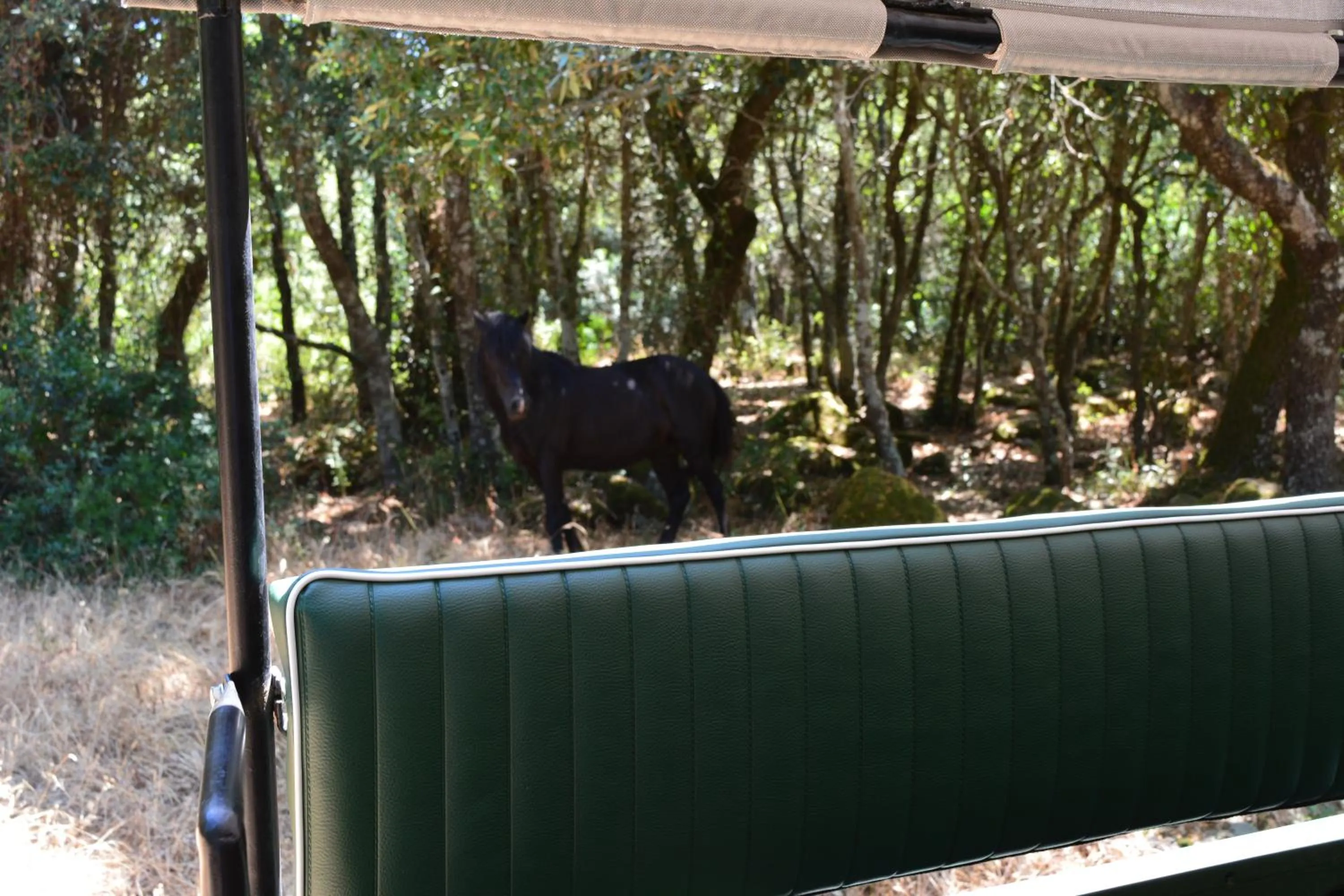 Activities in Il Borgo dell'Arcangelo