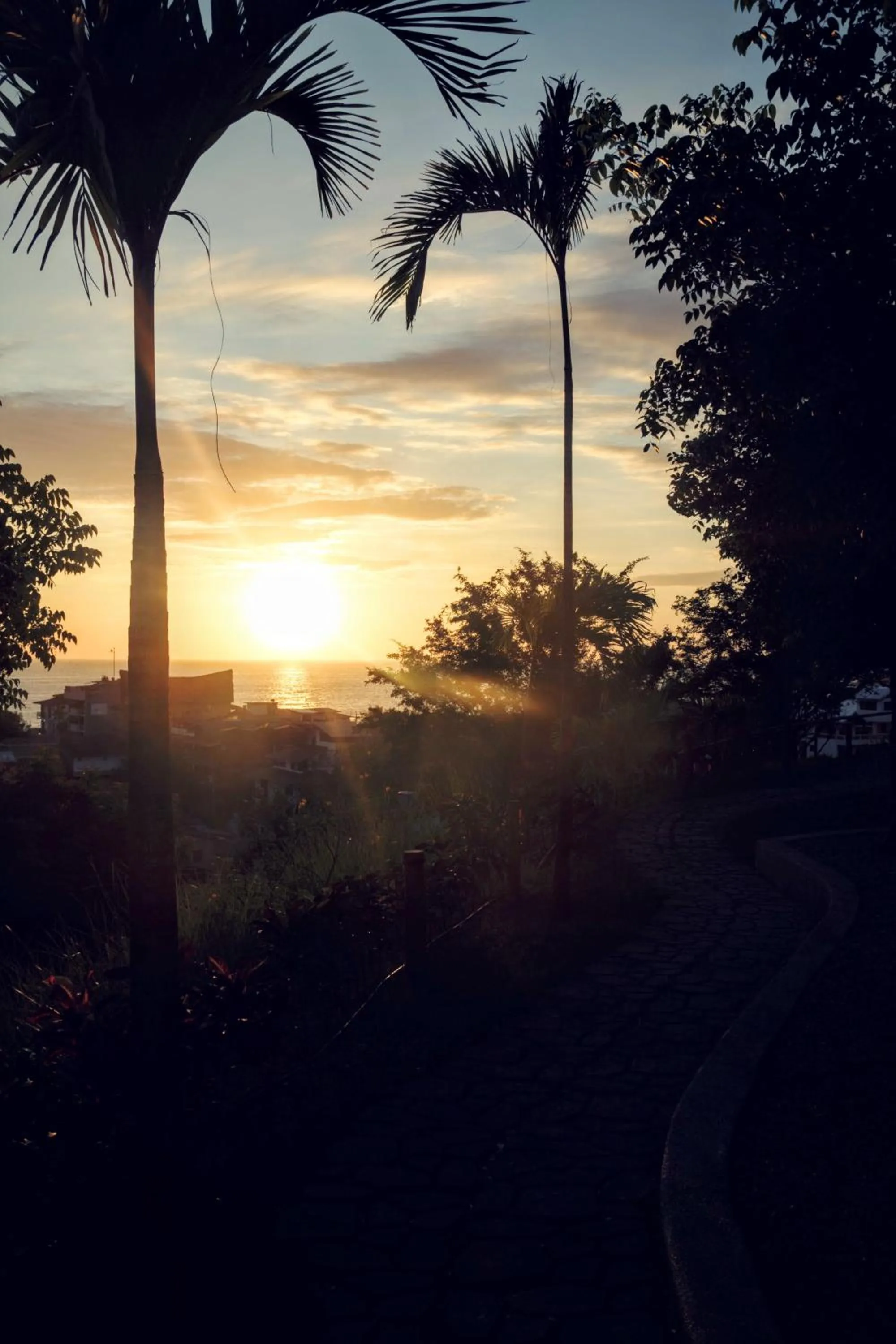 Spring in Nativa Bambu Ecolodge