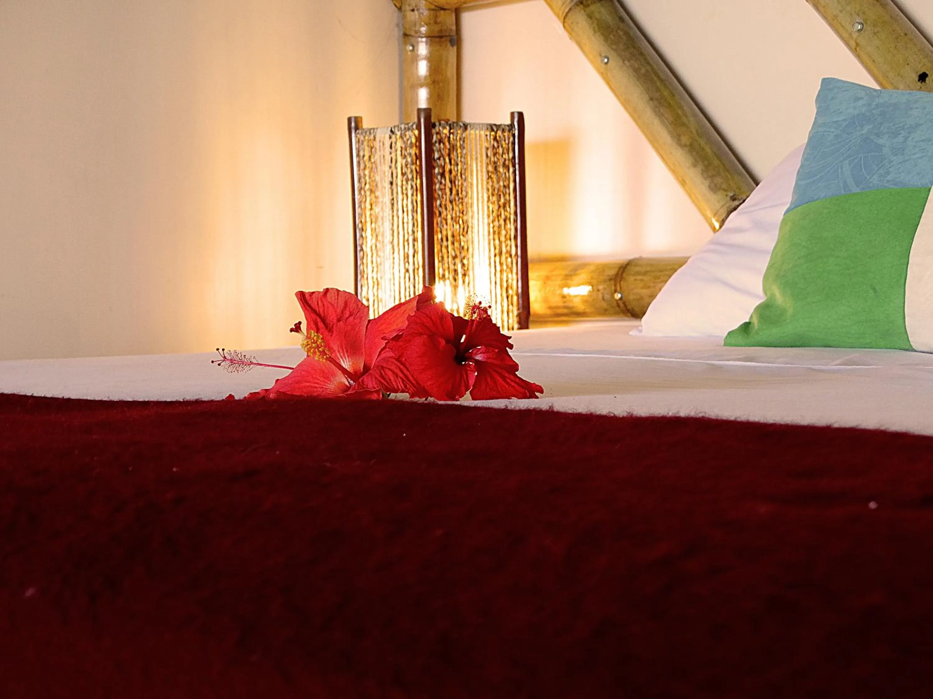 Bed in Nativa Bambu Ecolodge