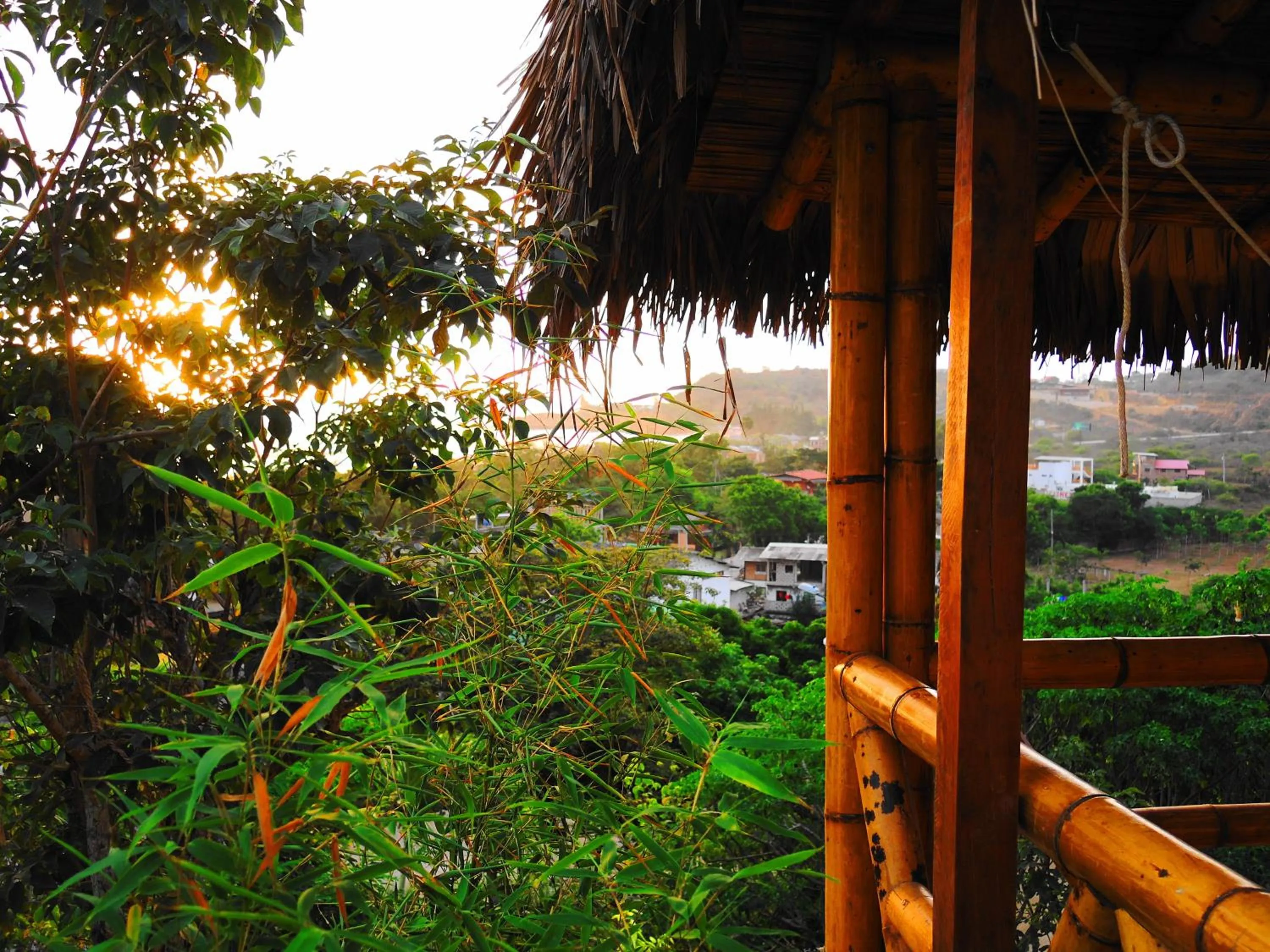 Day in Nativa Bambu Ecolodge