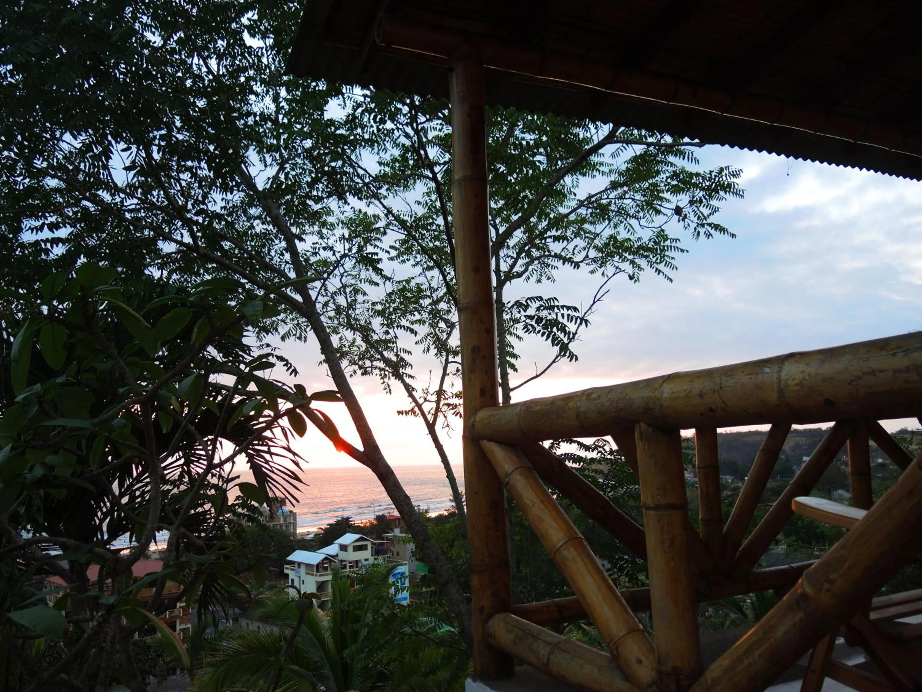 Natural landscape in Nativa Bambu Ecolodge