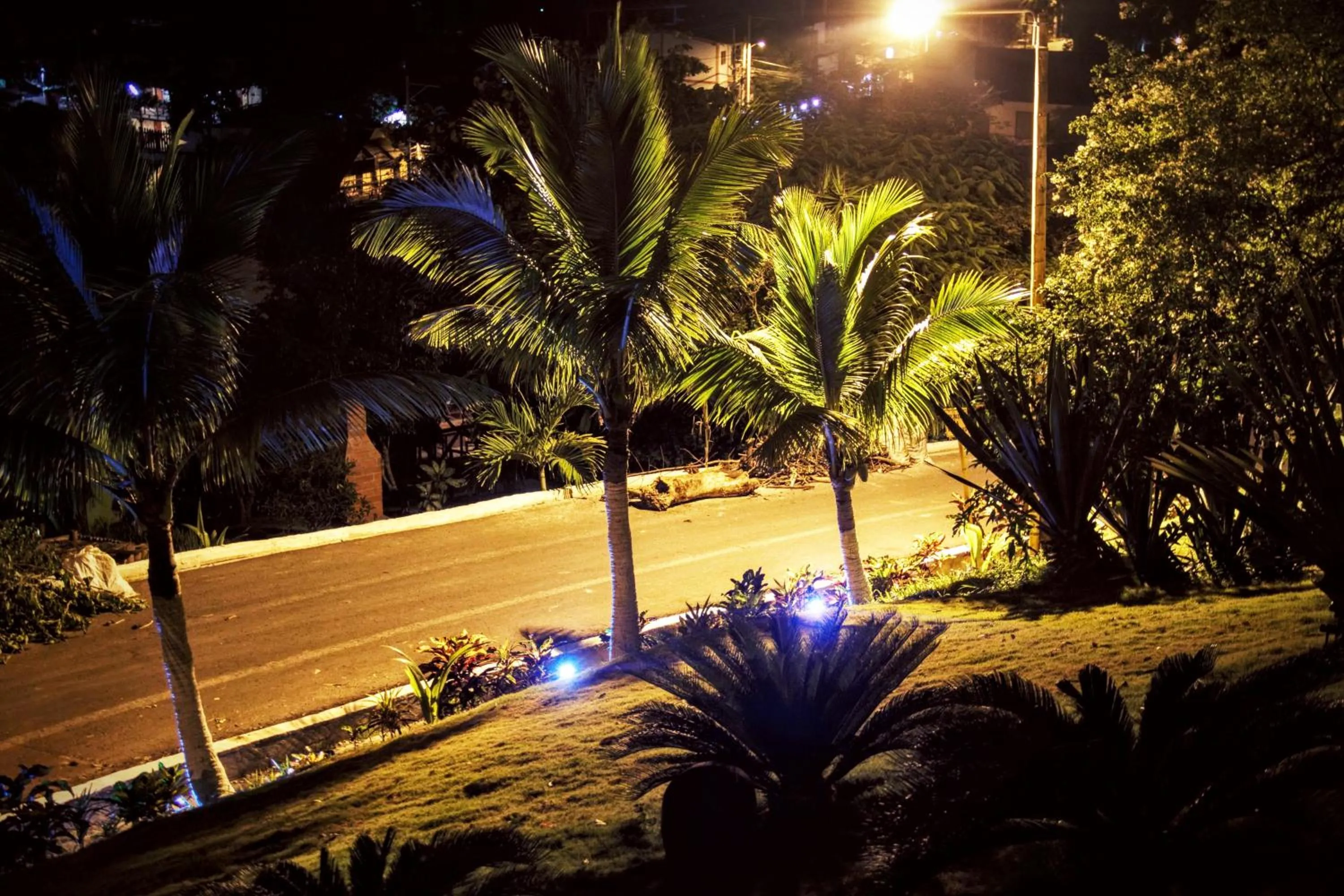 Spring in Nativa Bambu Ecolodge