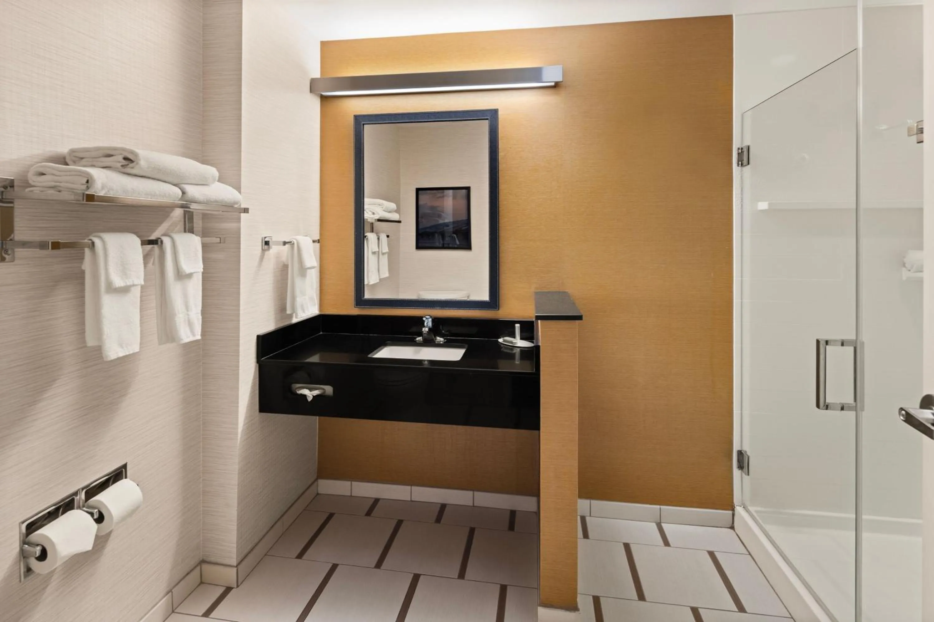 Bathroom in Fairfield Inn & Suites by Marriott Waterloo Cedar Falls
