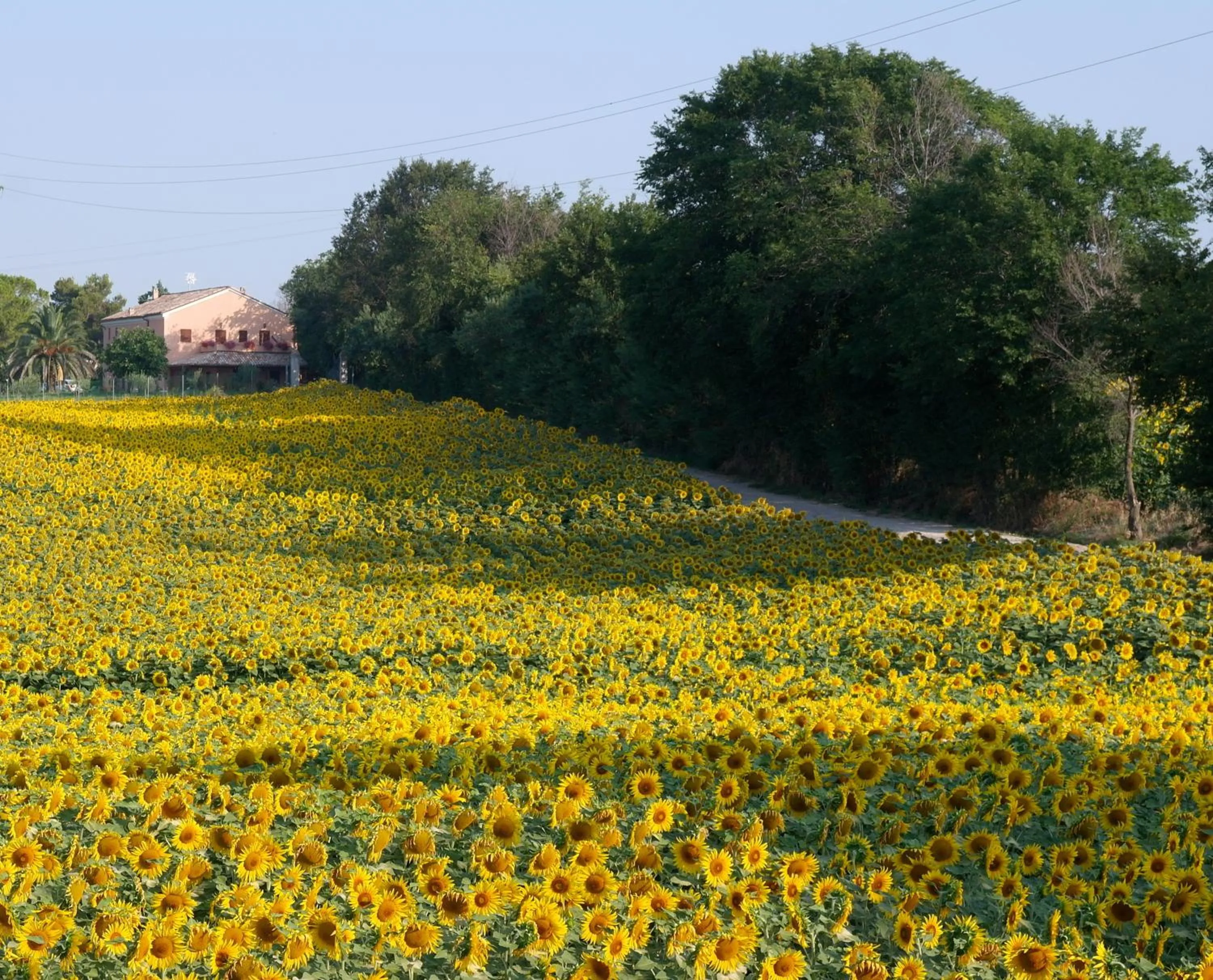 Facade/entrance in Fontebella