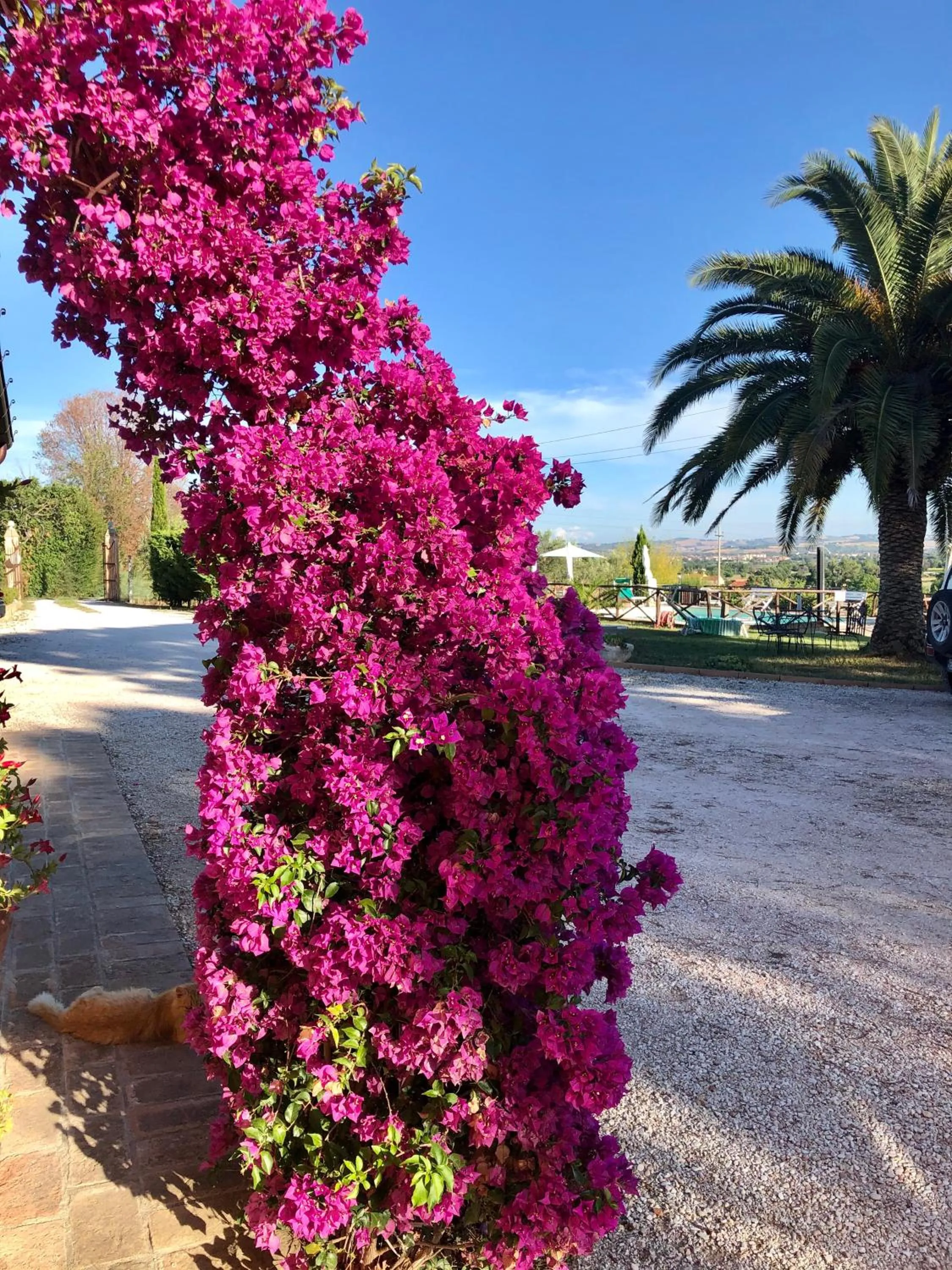 Pool view in Fontebella
