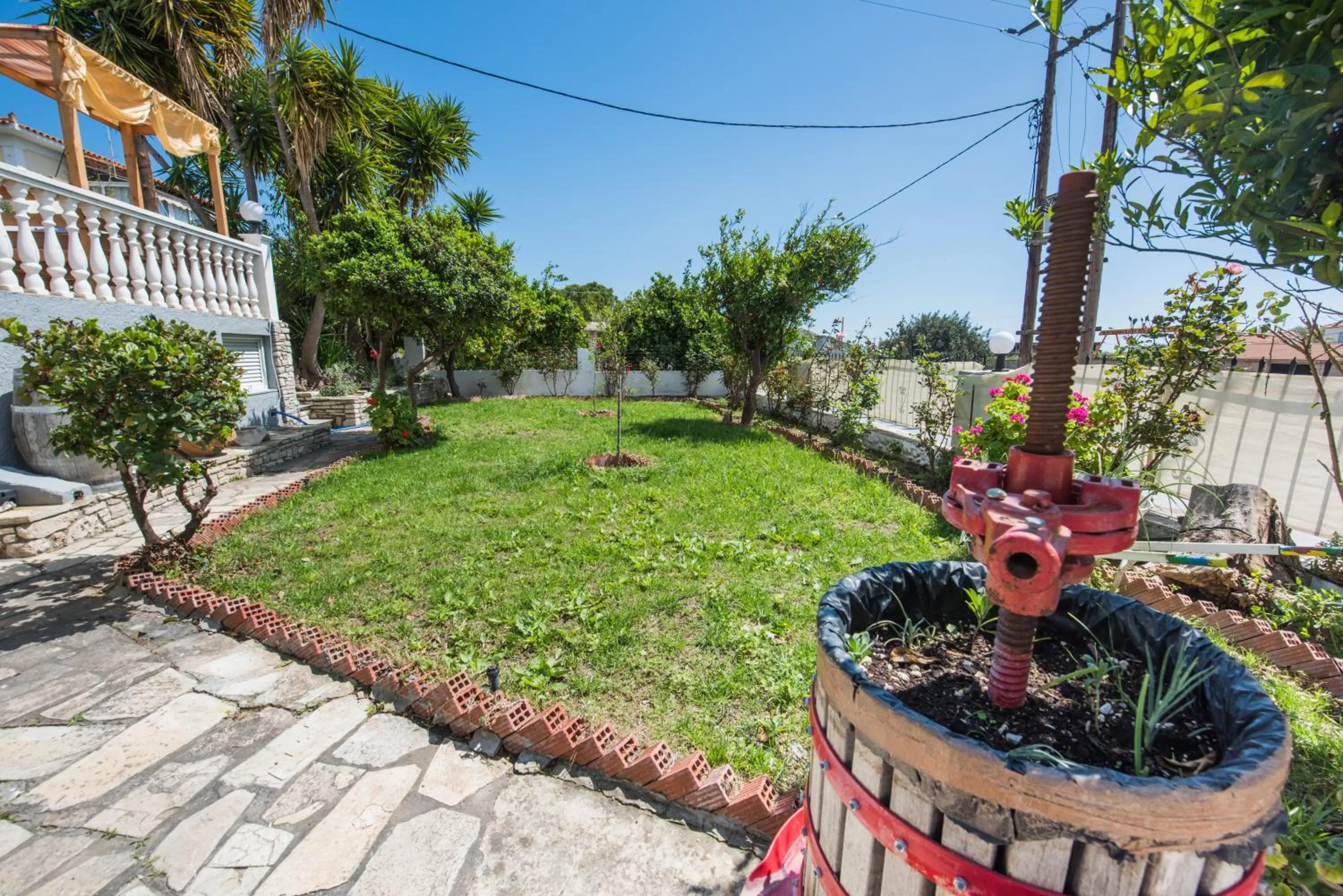 Garden in Anthis Studios