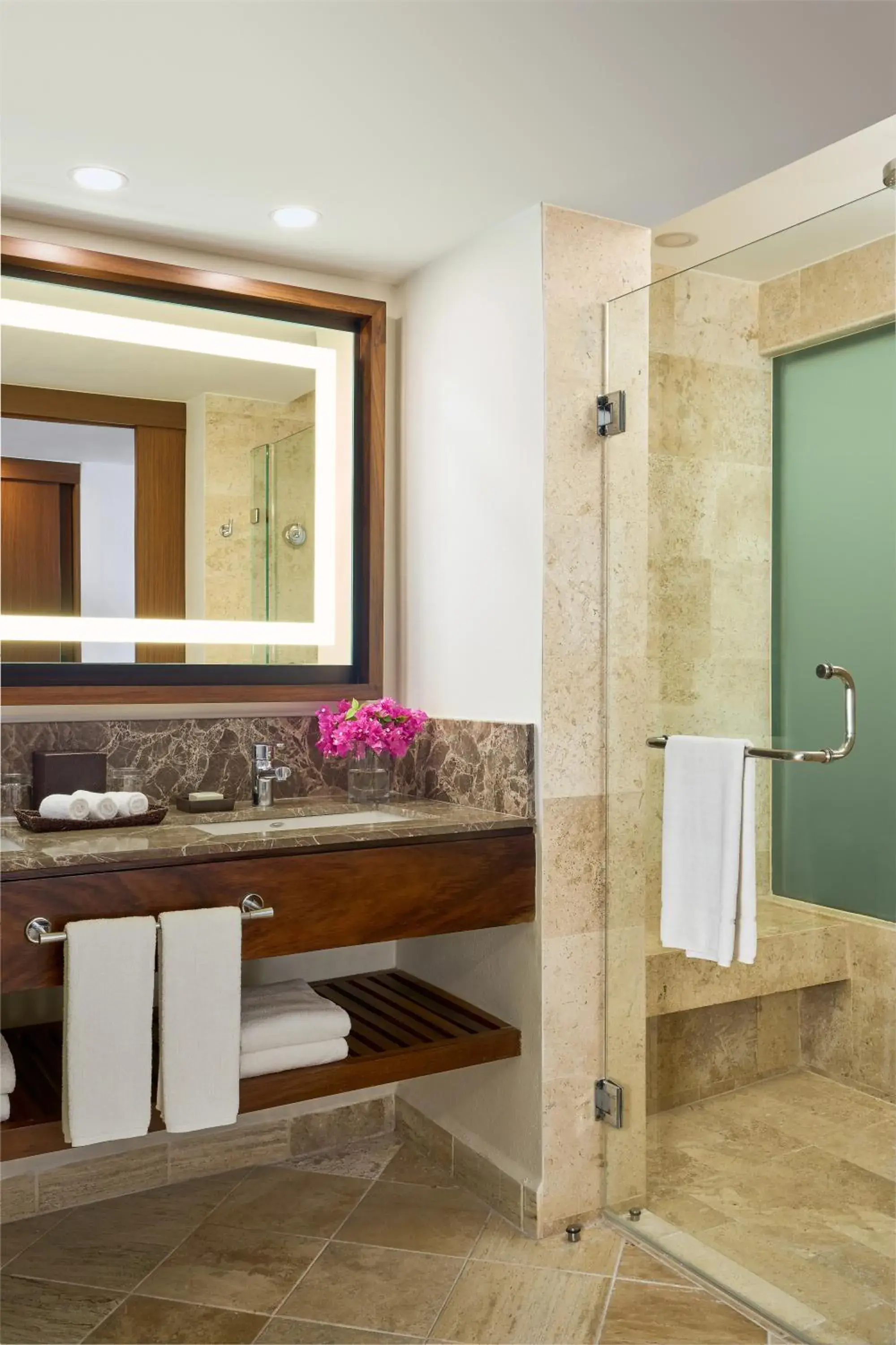 Hyatt Ziva Puerto Vallarta - All Inclusive Hyatt Ziva Puerto Vallarta - All Inclusive