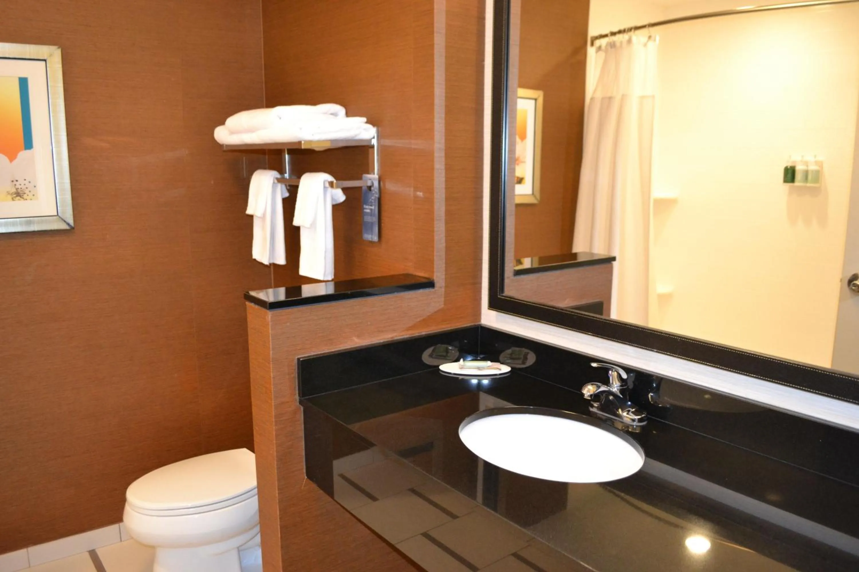 Bathroom in Fairfield Inn & Suites by Marriott Fort Walton Beach-West Destin