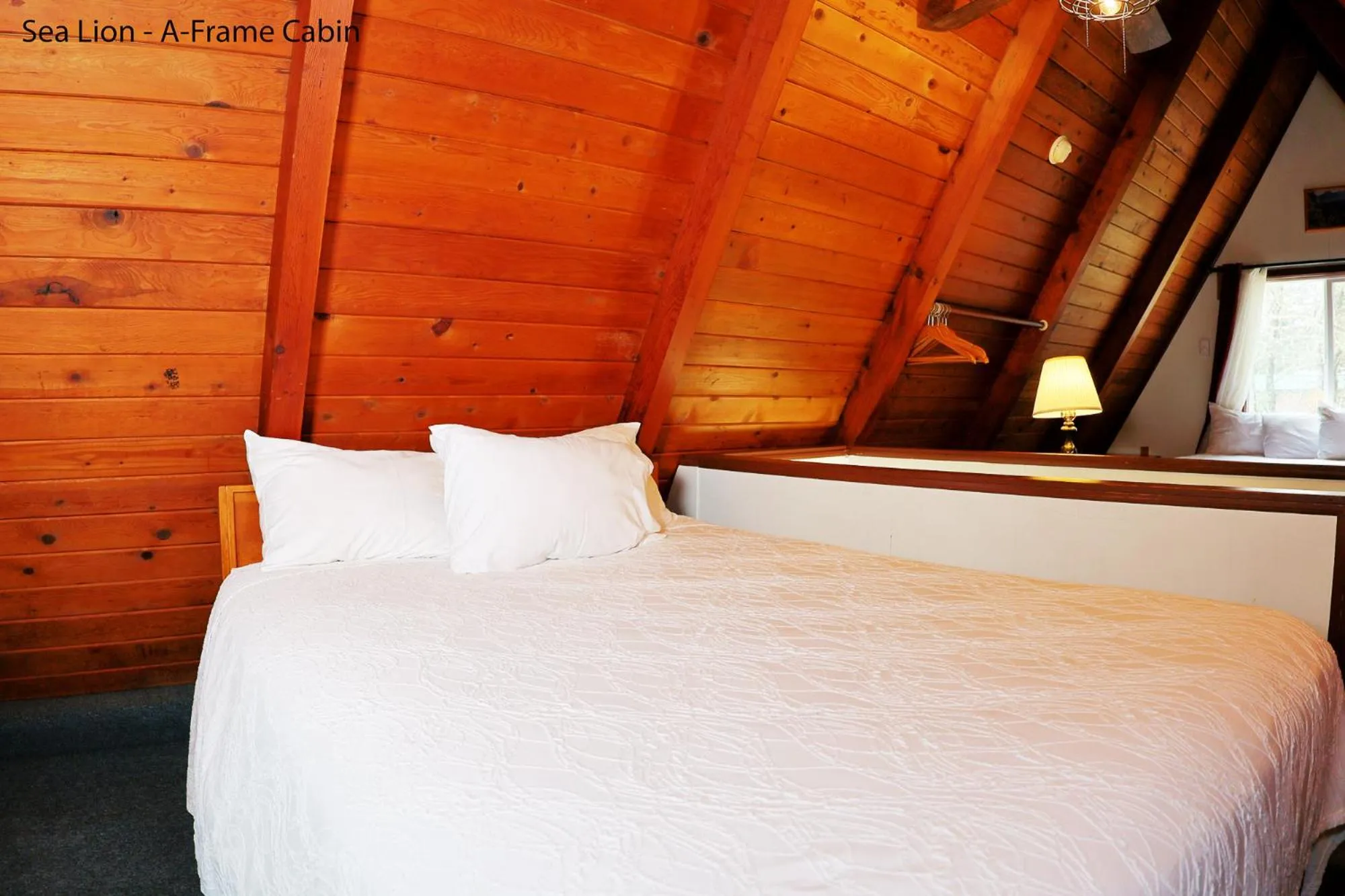 Bed in Park Motel and Cabins