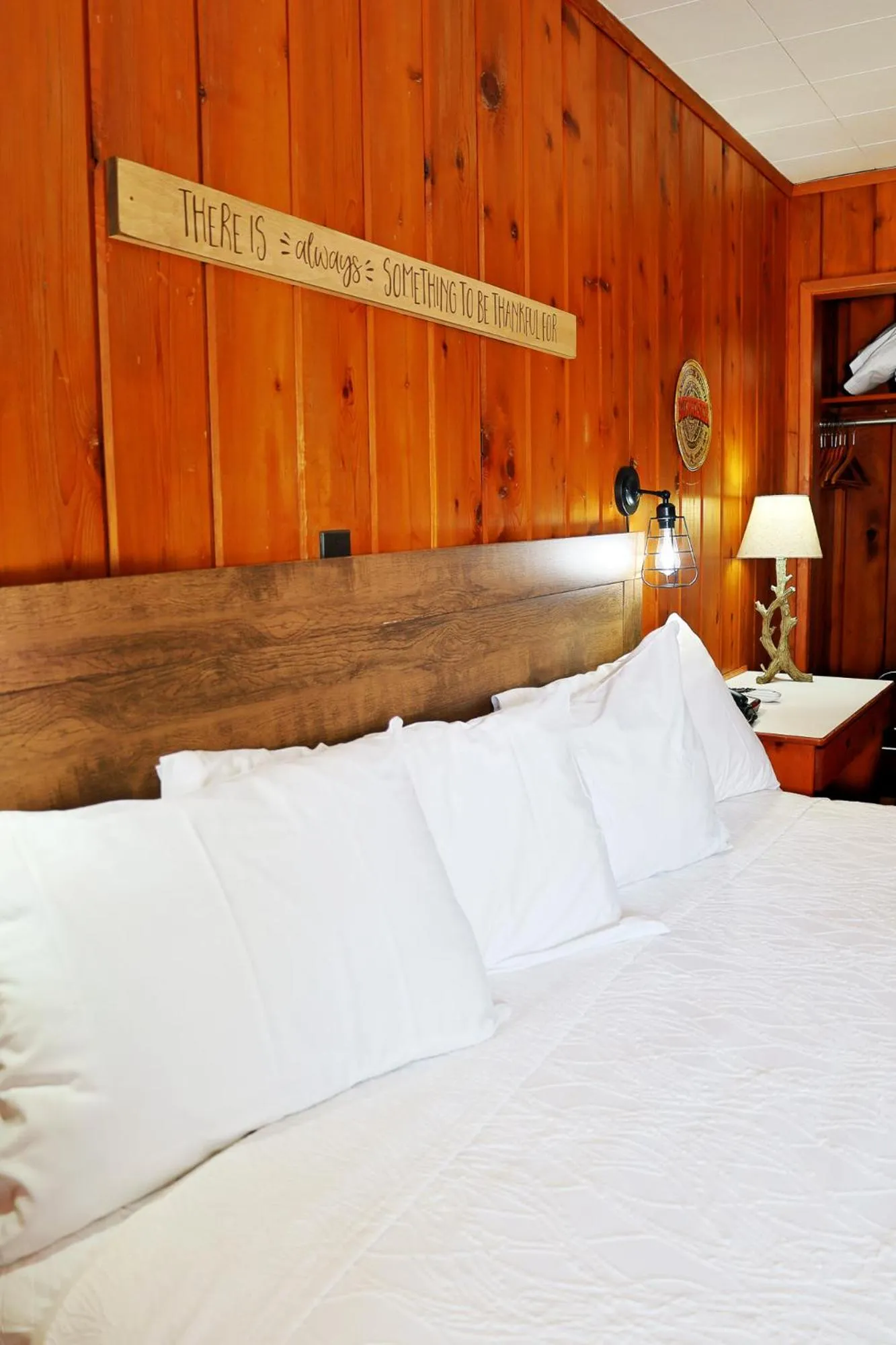 Bed in Park Motel and Cabins