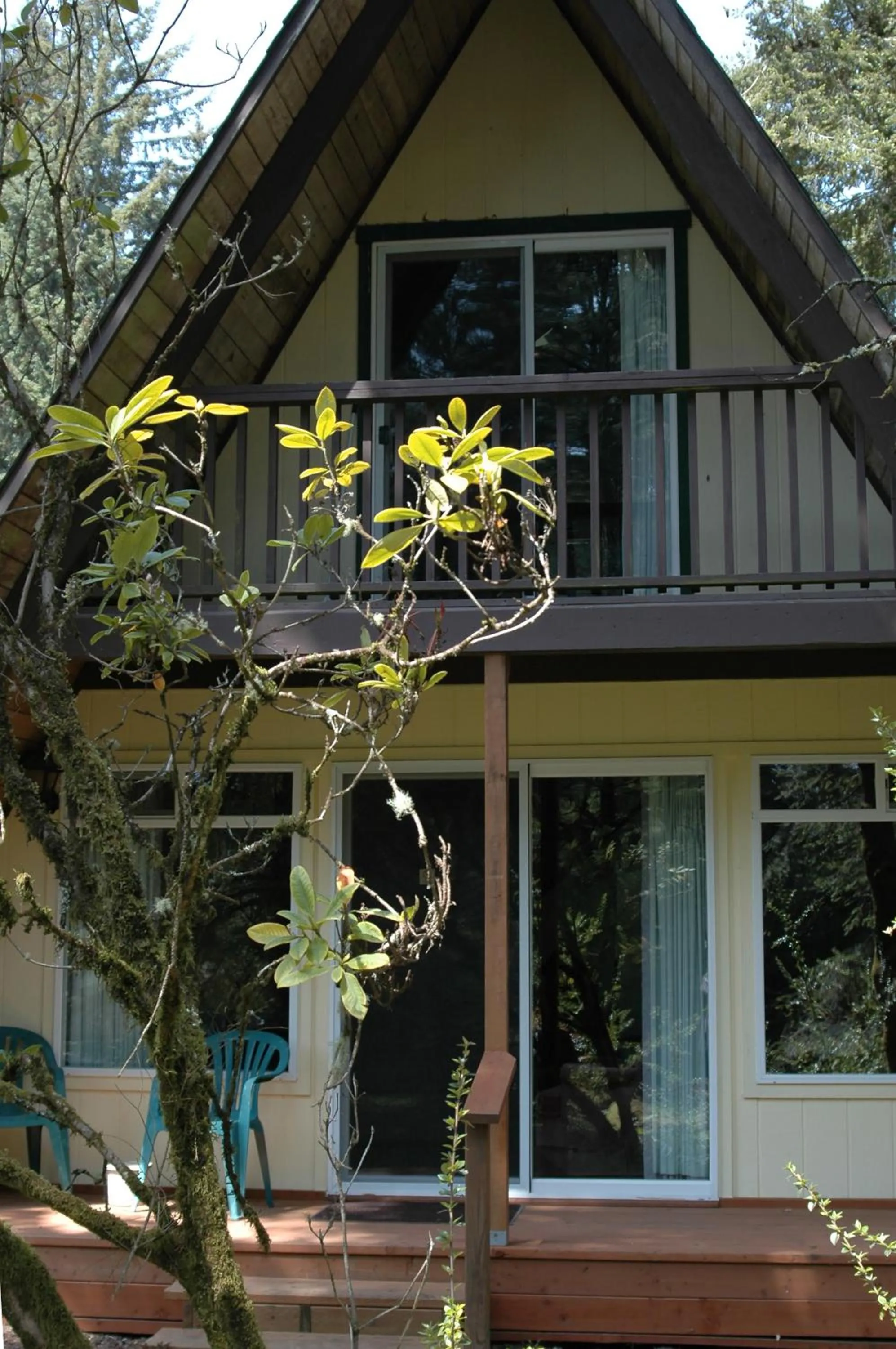 Property building in Park Motel and Cabins