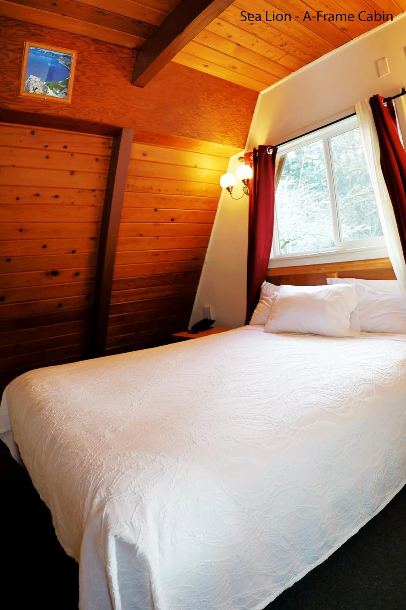 Bed in Park Motel and Cabins