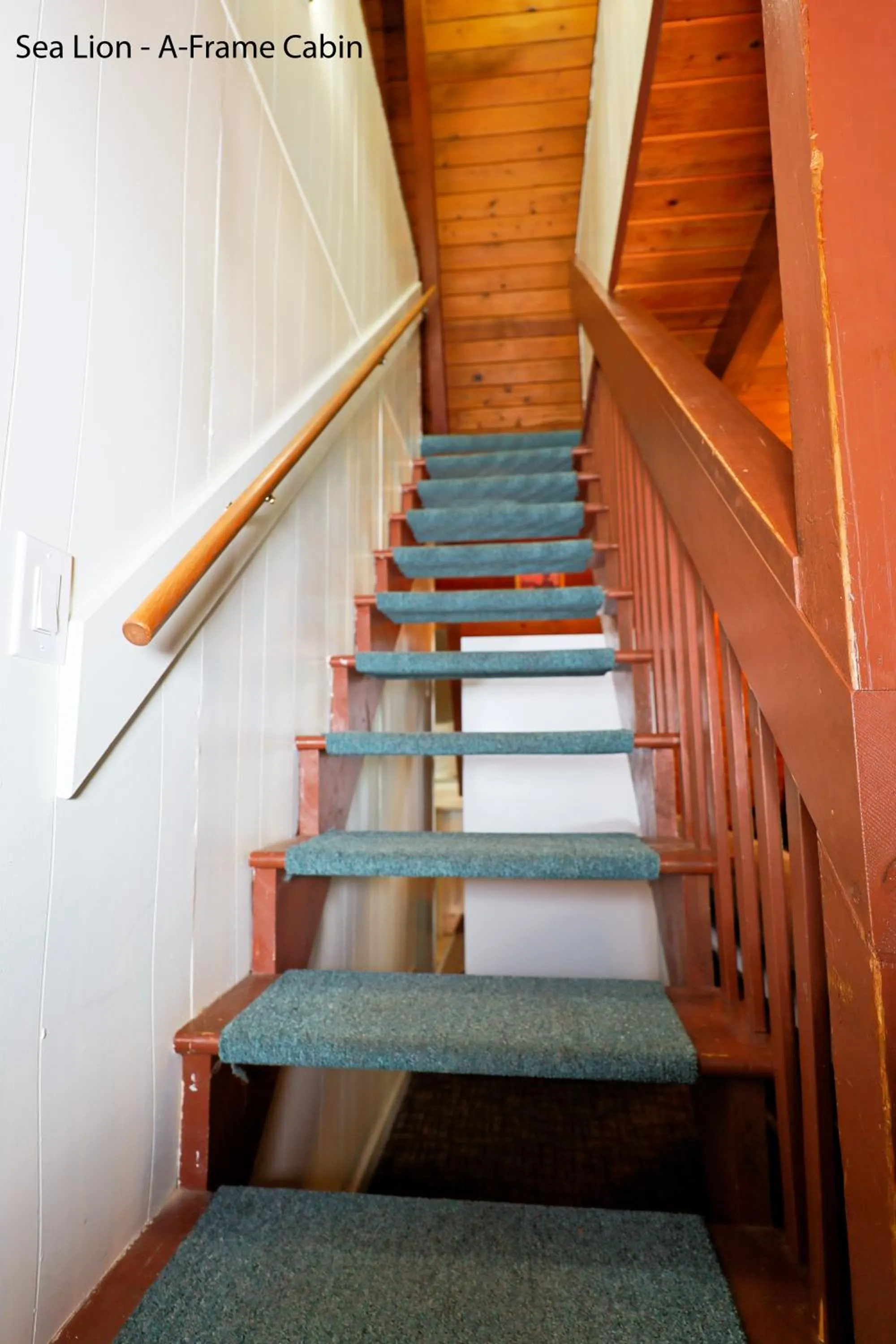 Property building in Park Motel and Cabins