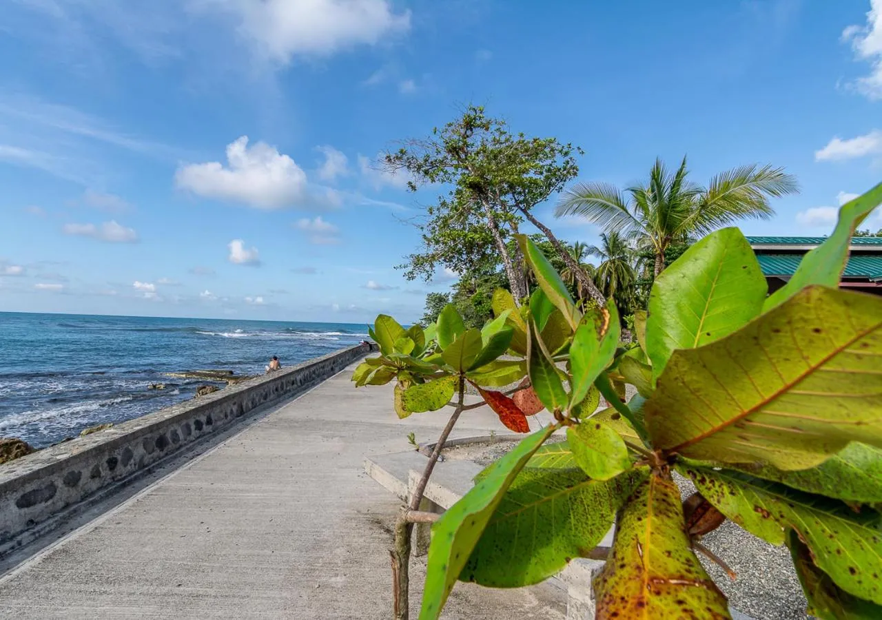 Beach in Cabinas Arrecife