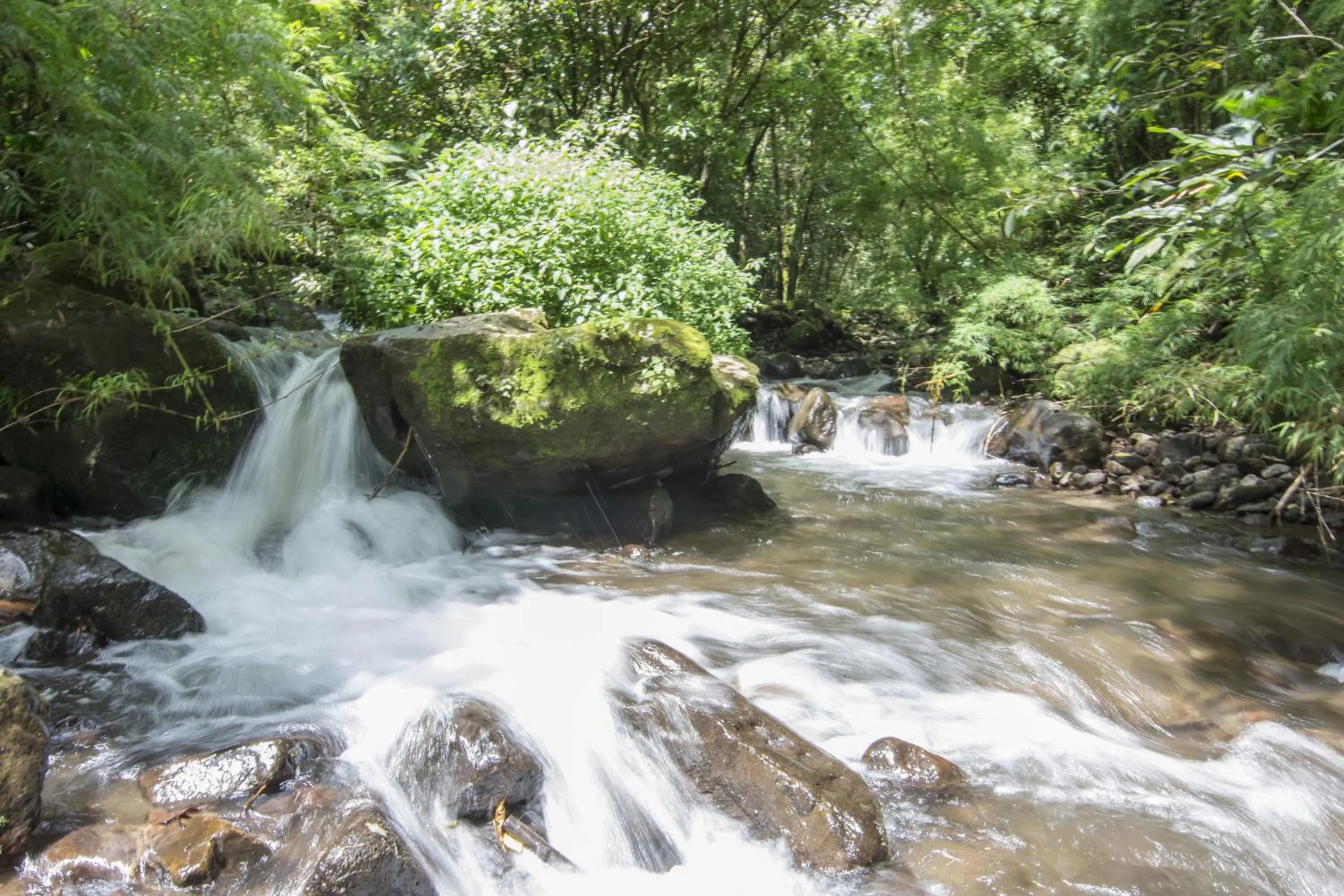 Facade/entrance in Bosque de Paz Reserva Biologica