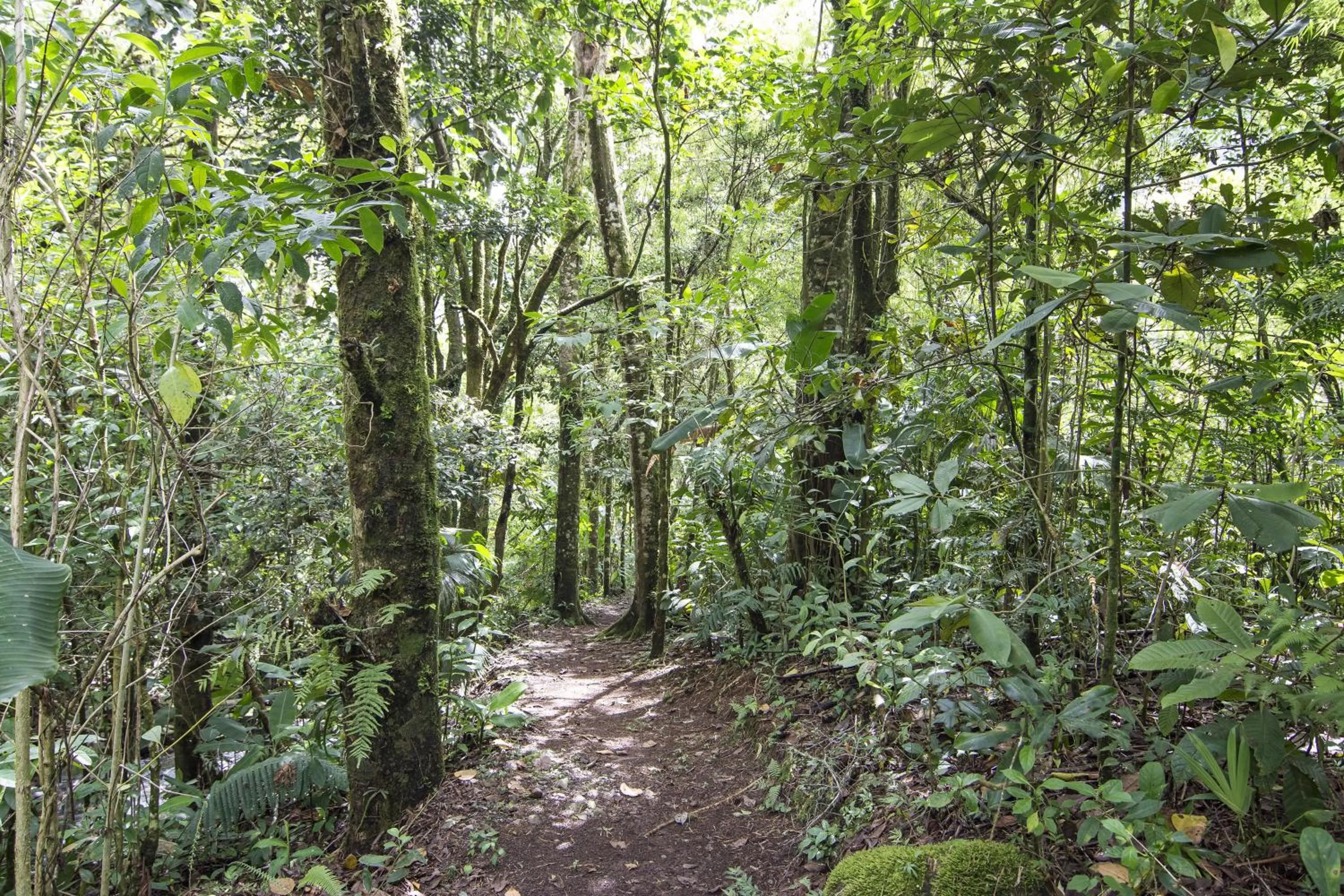 Facade/entrance in Bosque de Paz Reserva Biologica