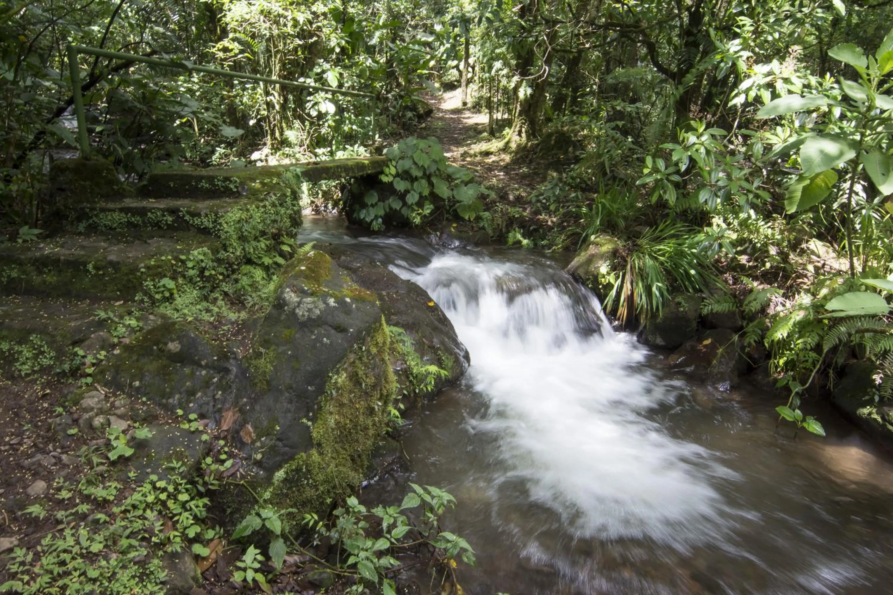 Facade/entrance in Bosque de Paz Reserva Biologica
