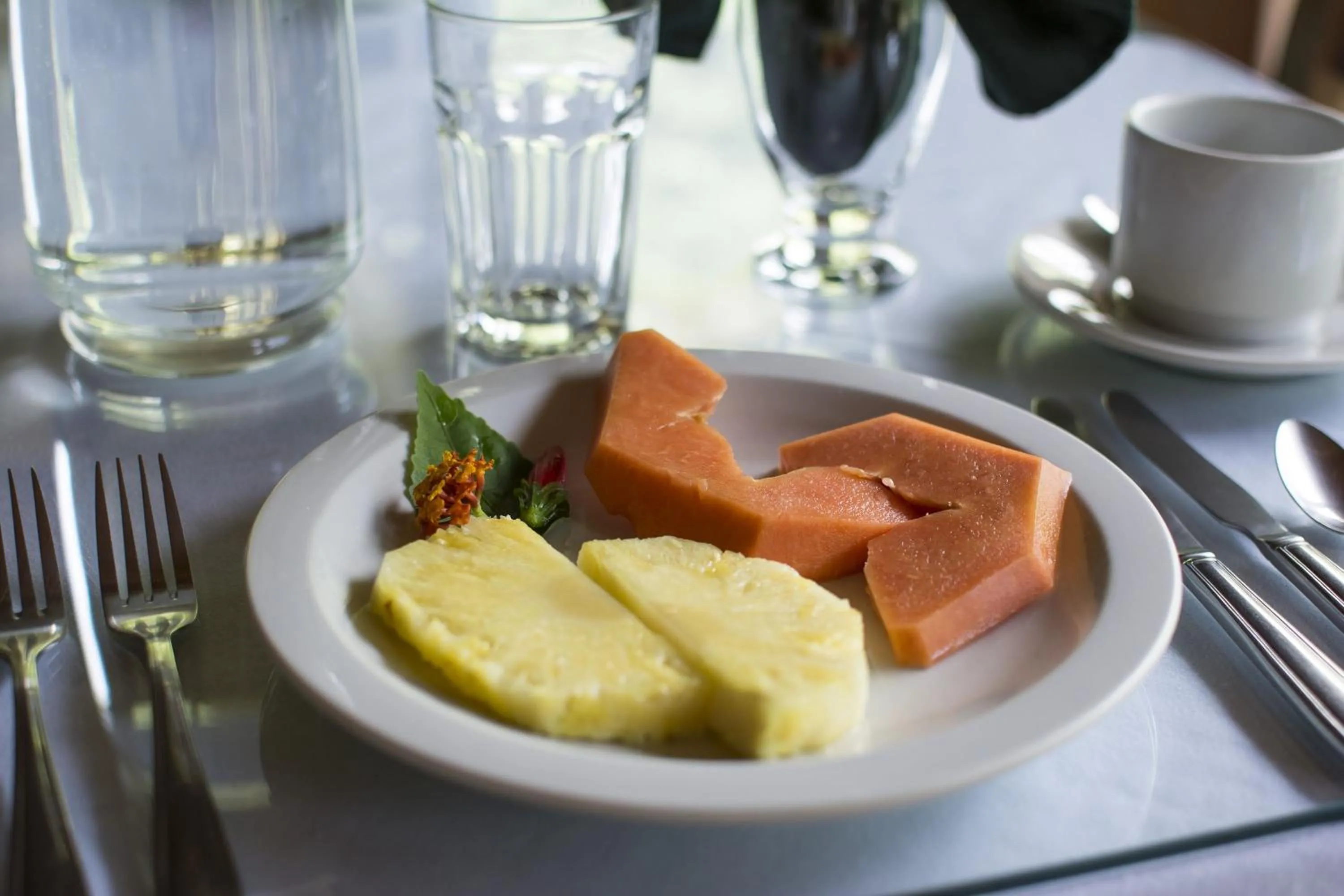 Dining area in Bosque de Paz Reserva Biologica