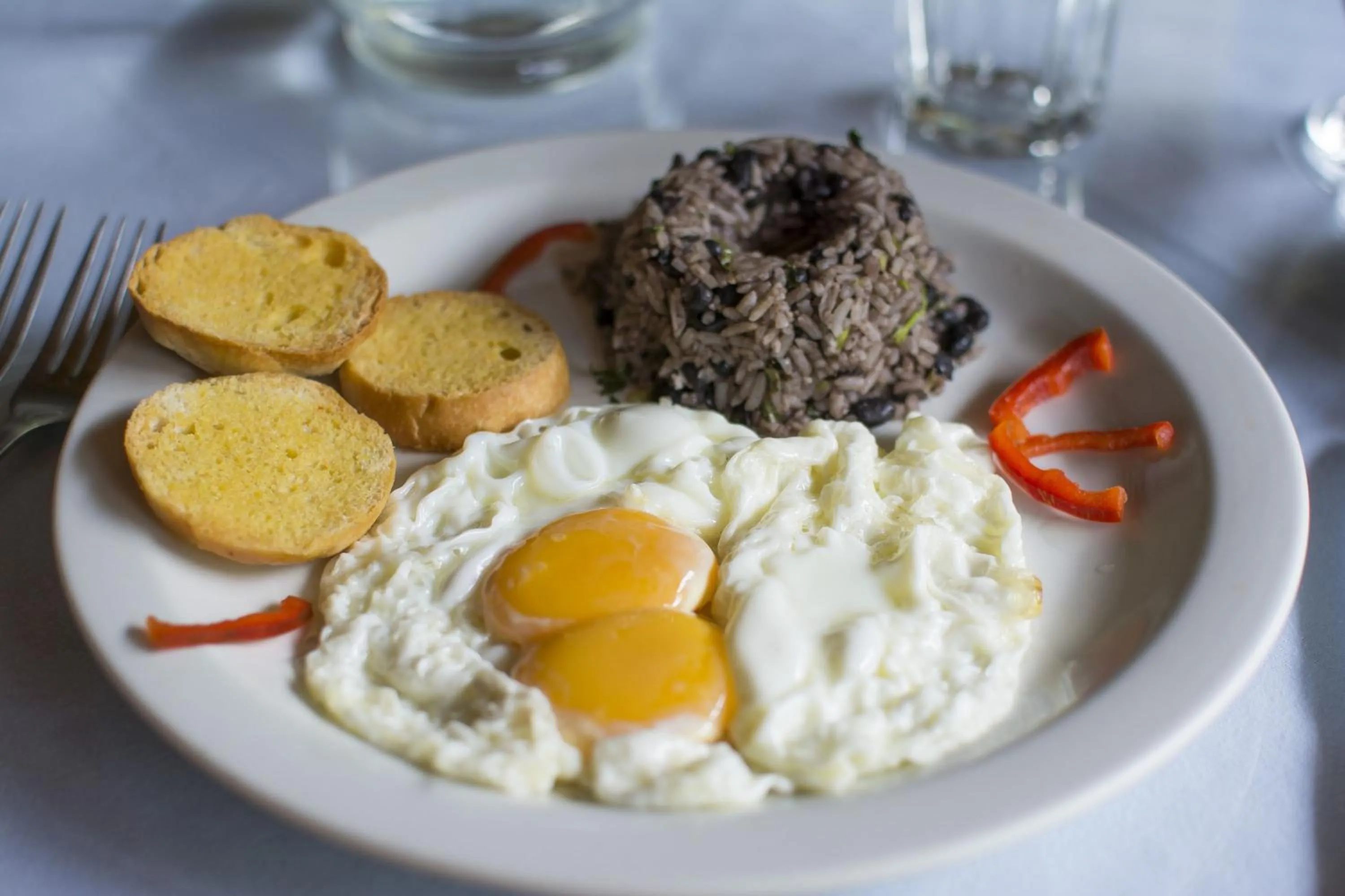 Dining area in Bosque de Paz Reserva Biologica